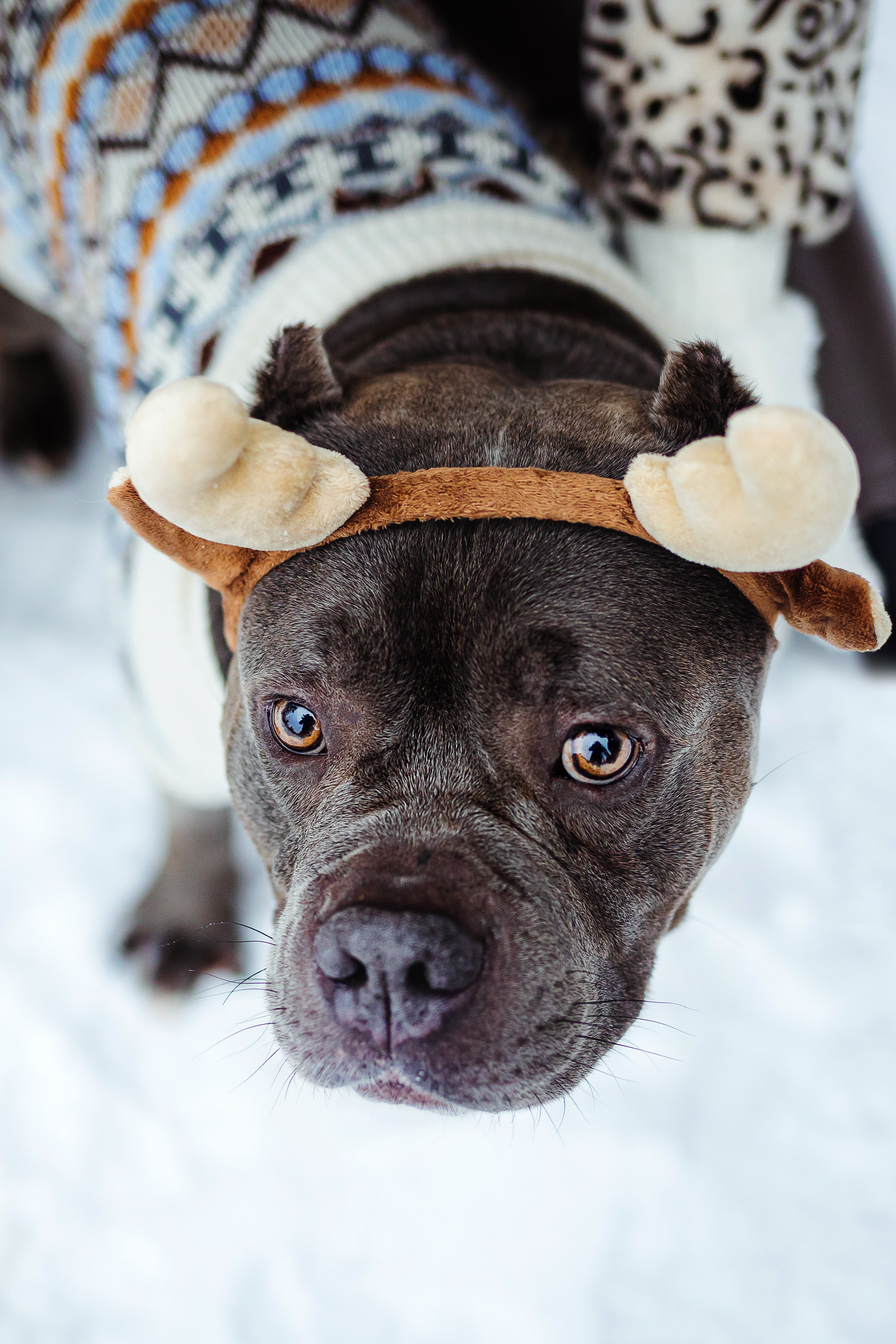 Маша и Халк