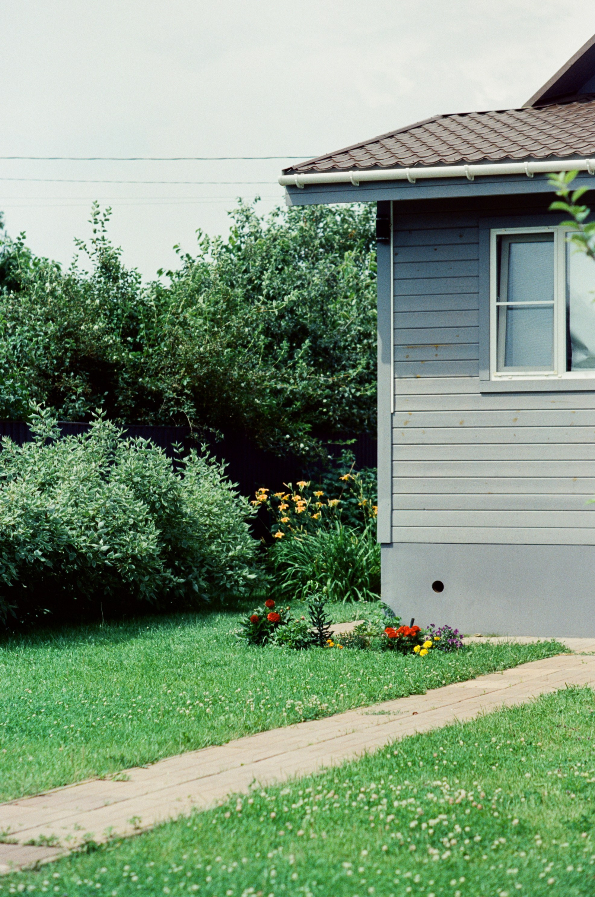 Canon 33V — Minolta MC Rokkor-PF 85 mm f1.7 | SFL 200T | июль 2025 г