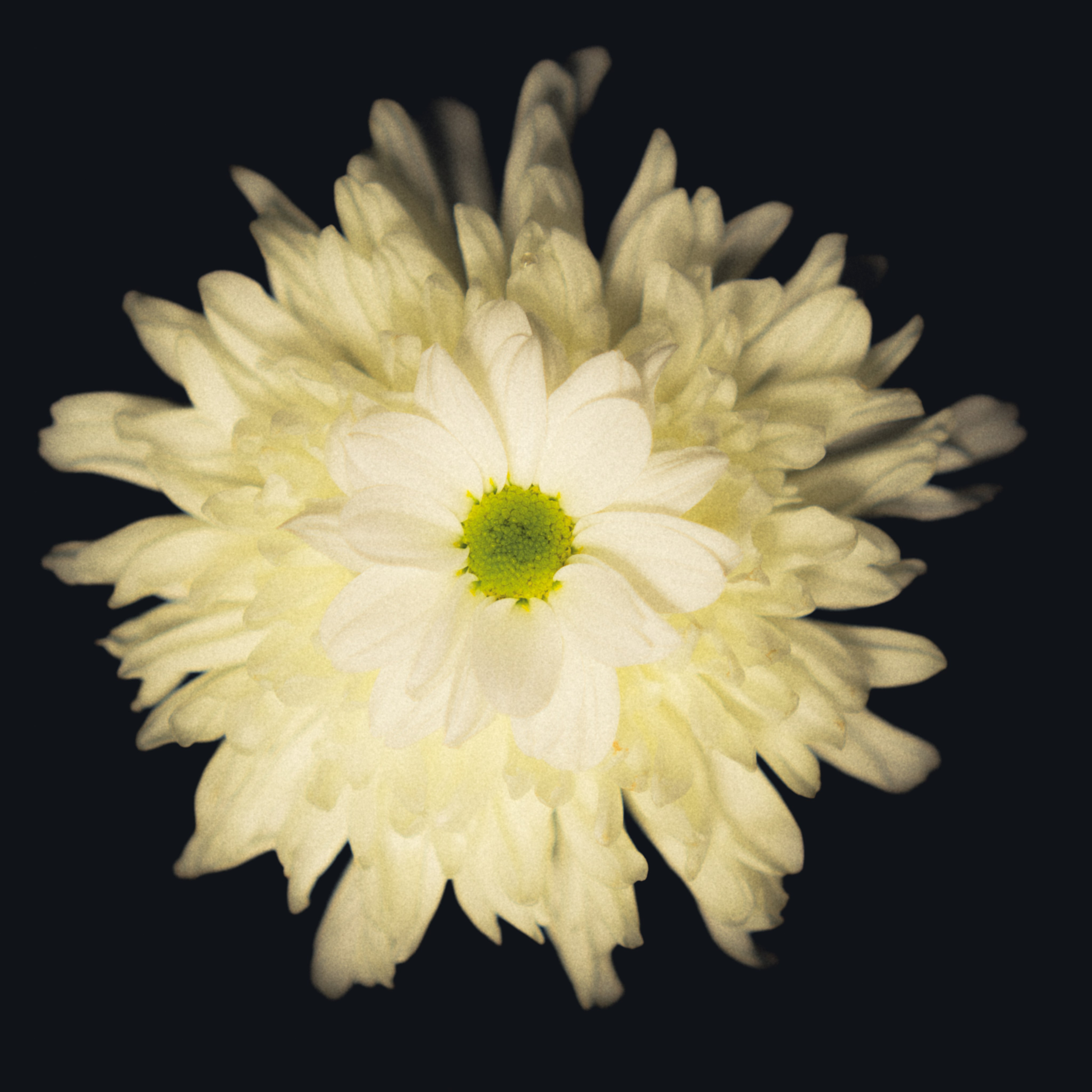 Единство (серия). Мистические фотосессии в Санкт-Петербурге от мистика Ильи Шенгелия