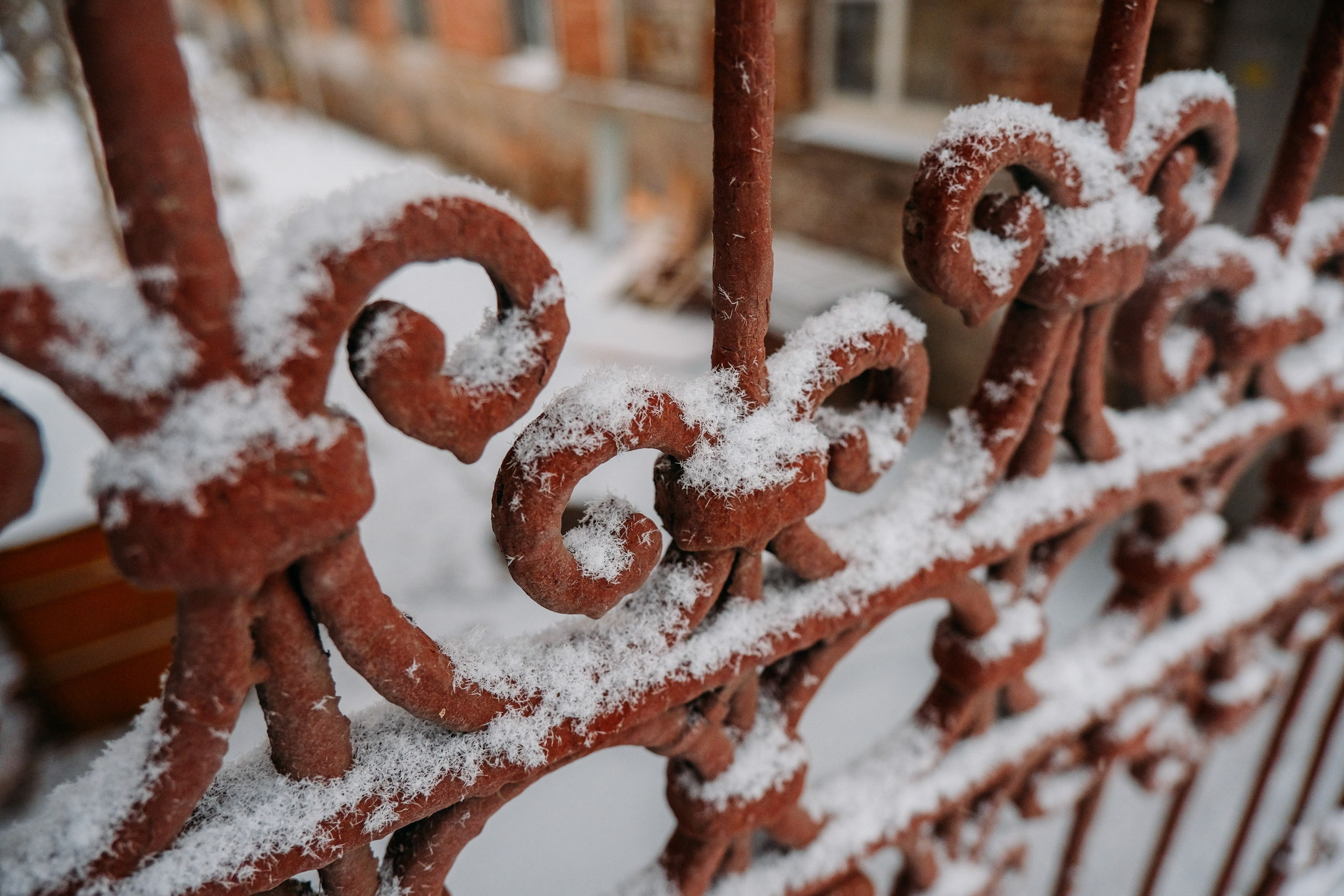 Снегопад. Фотограф Анатолий Деникин