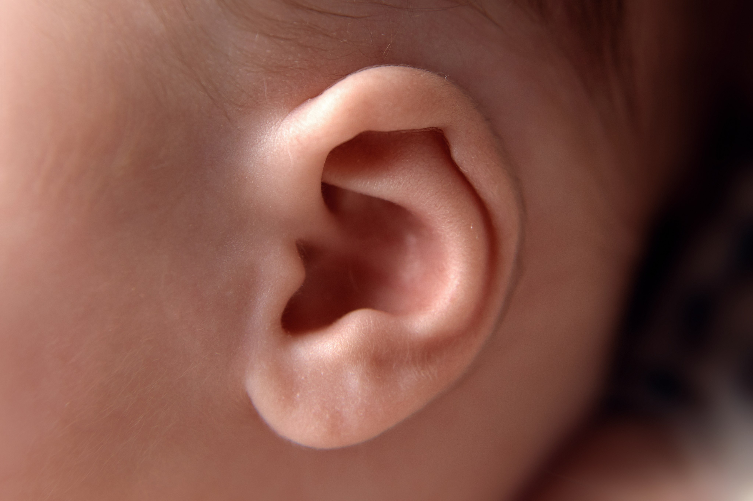 Тариф ПРЕМИУМ. Профессиональный фотограф новорождённых в Москве Елена Сатюкова