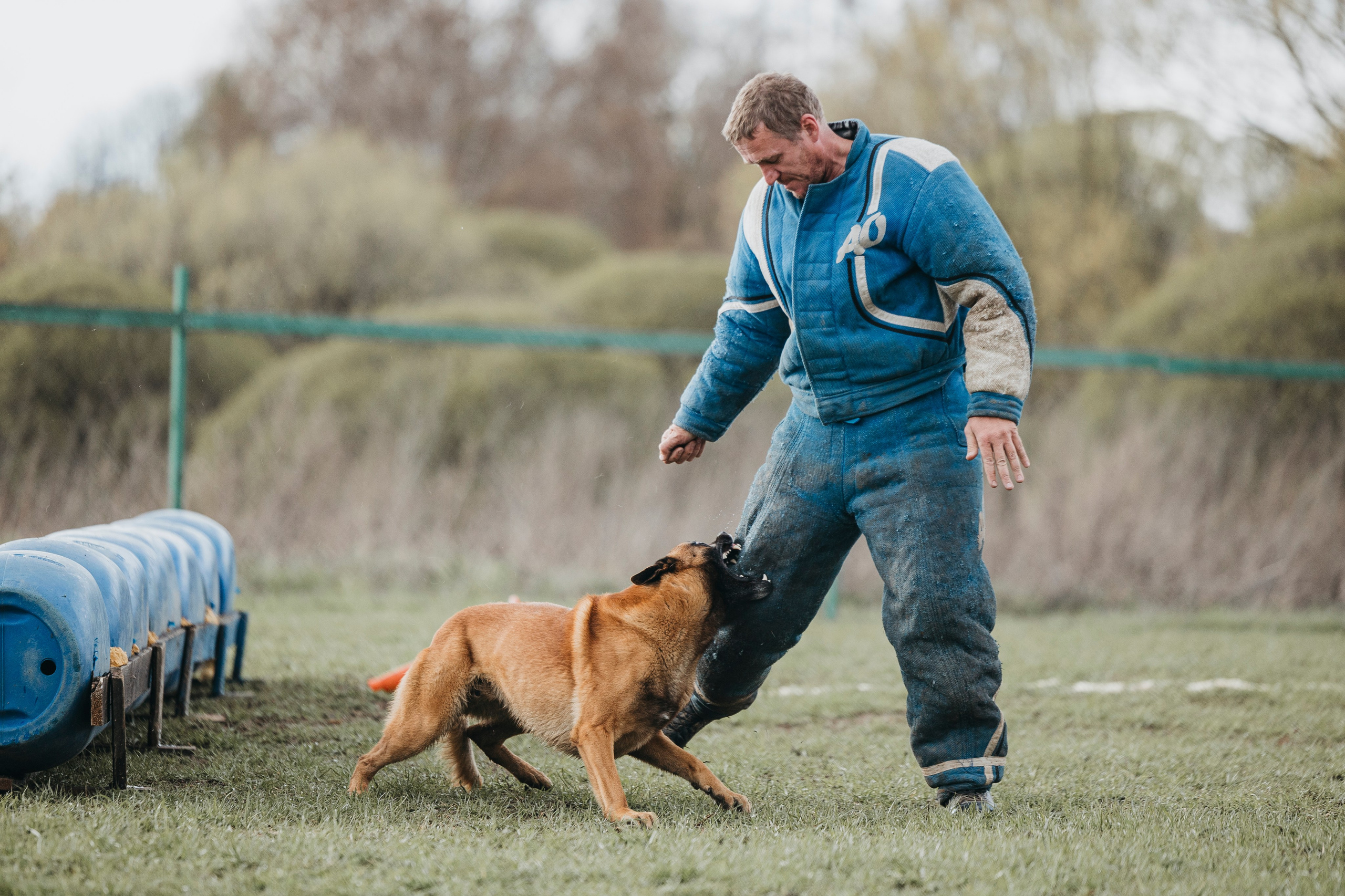09.05.25 Вологда соревнования. Фотограф-анималист Анна Маринич