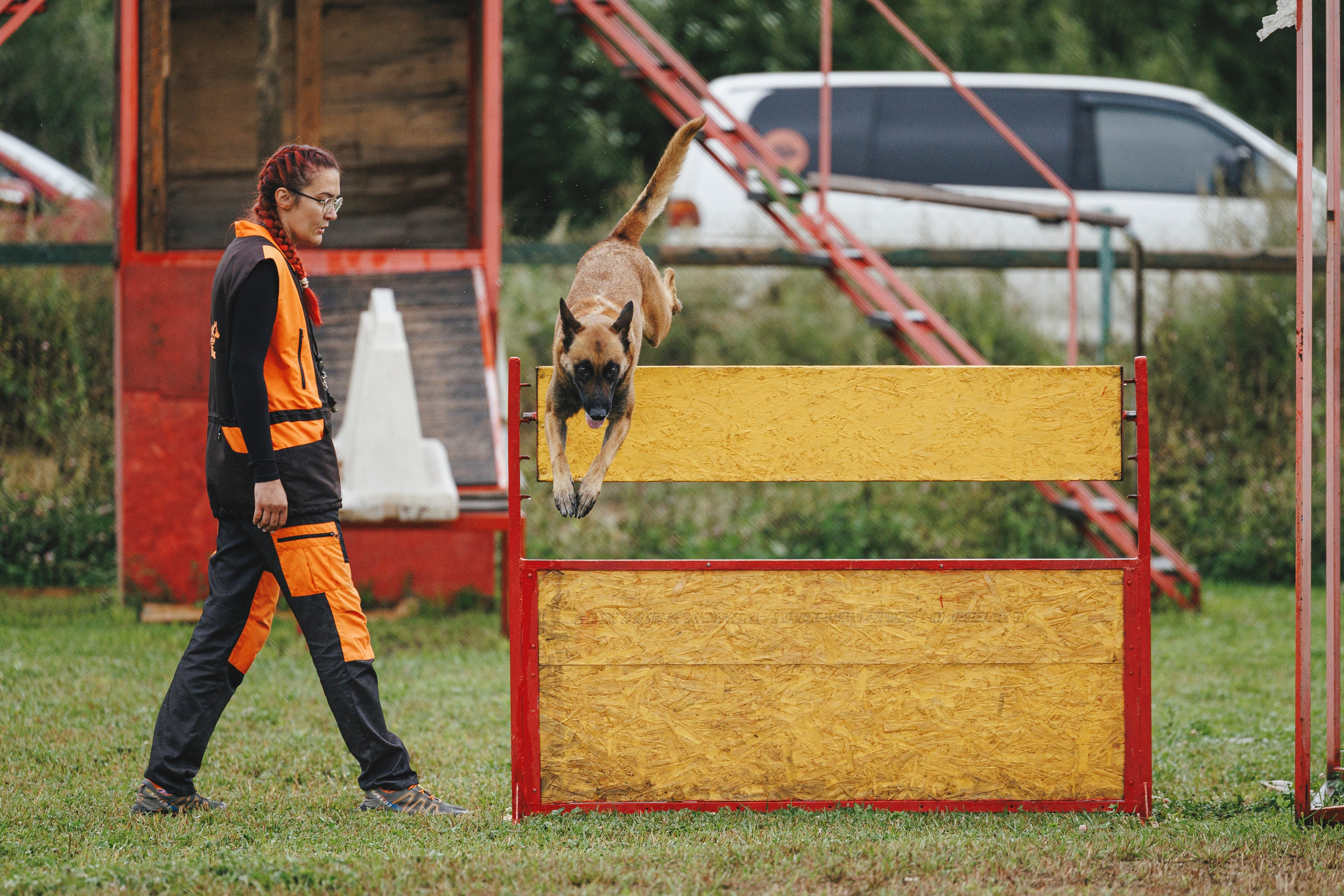 08.08.25-10.08.25 ЧР по мондьорингу г. Вологда. Фотограф-анималист Анна Маринич