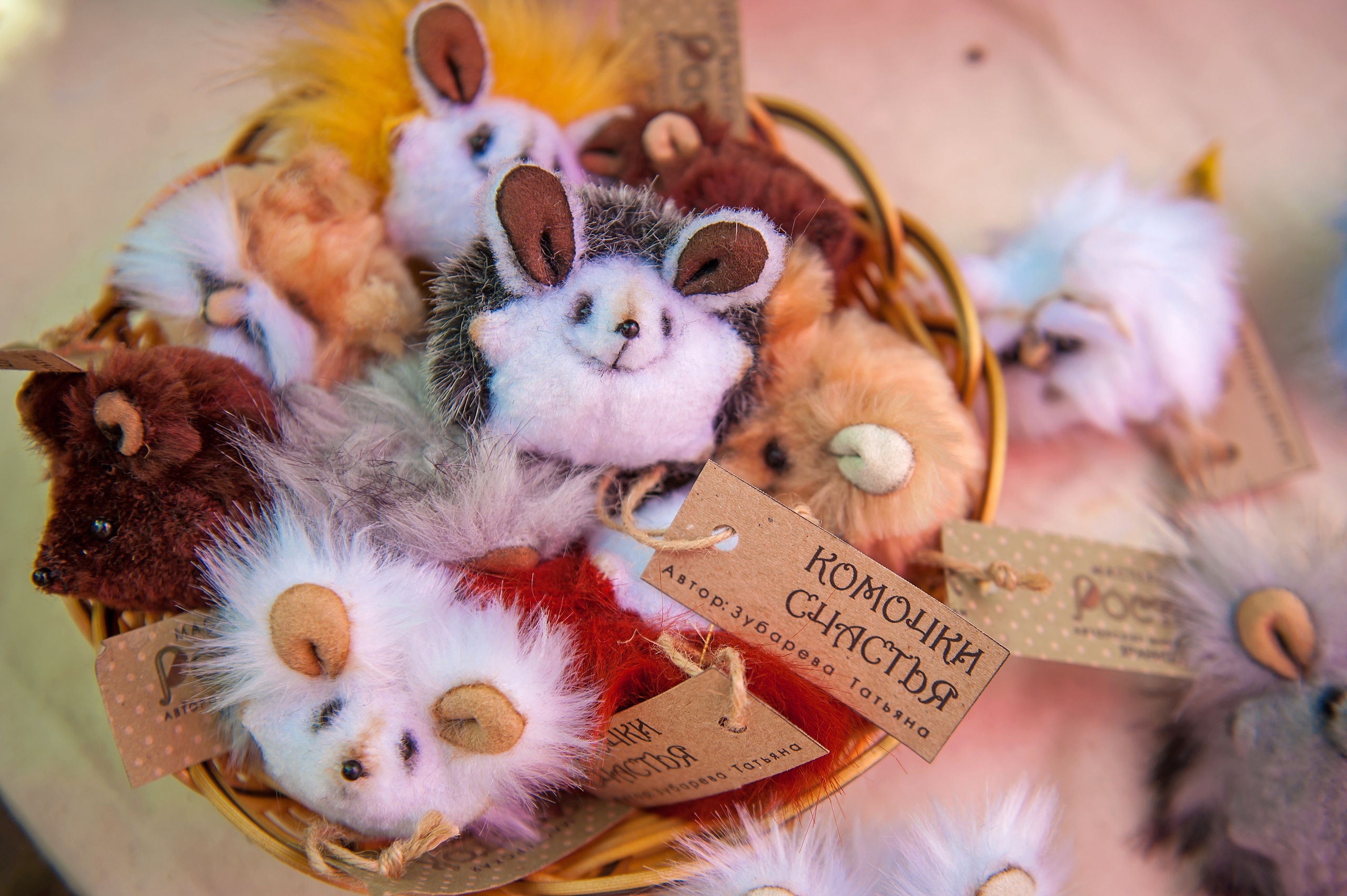 Концерты. Фестивали. Елена Северина фотограф, Алматы: репортаж (спорт, концерты, конференции), предметная и фуд-съёмка, портреты, каталоги, фэшн, ретушь