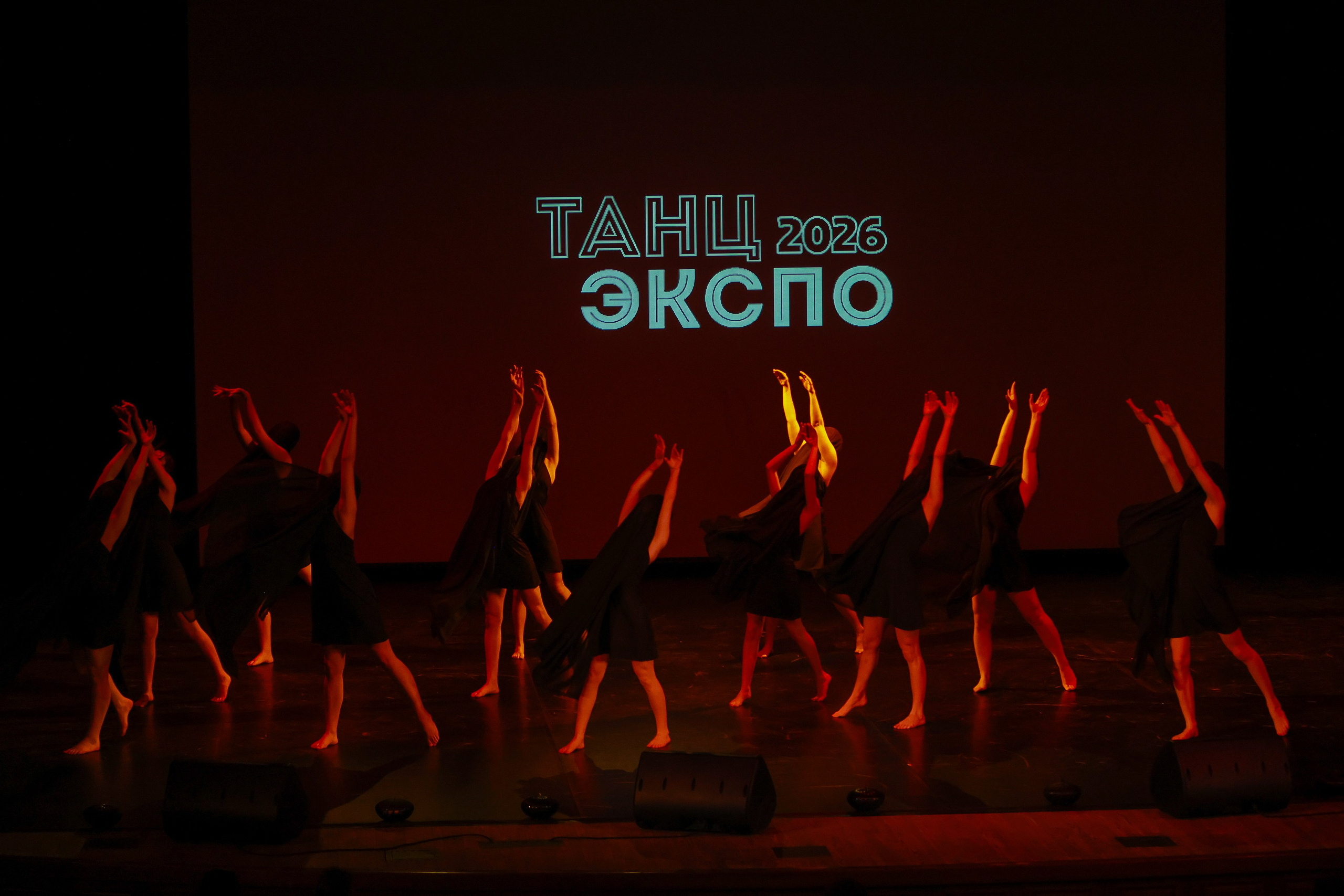 Небесные ласточки на Танц ЭКСПО 2026. Фотограф Юлия Мальцева