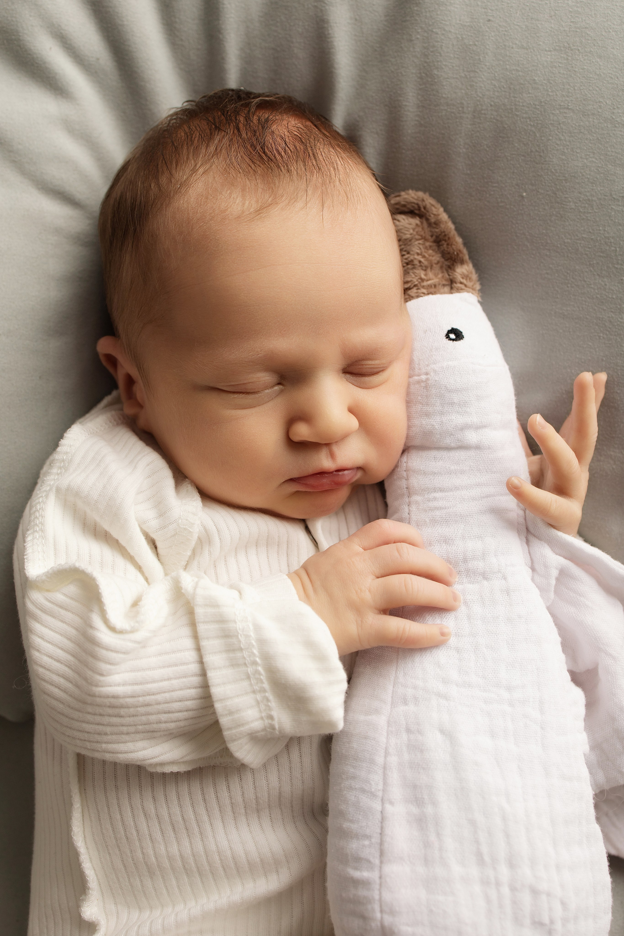 Лев 18 дней. Фотограф новорождённых Newborn Москва