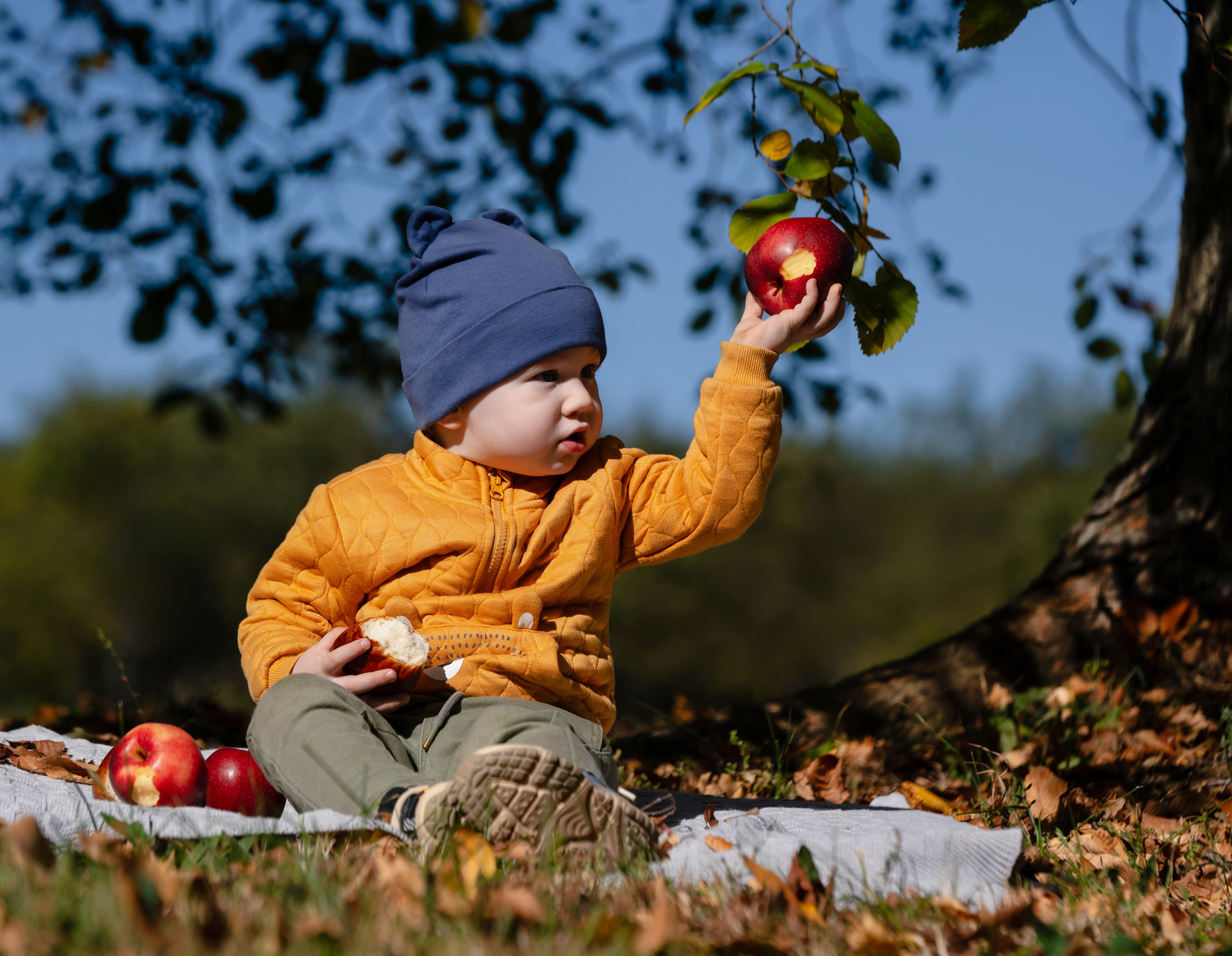 Фотограф-анималист, семейный фотограф в Москве и Подмосковье. Фотосъёмка кинологических дисциплин