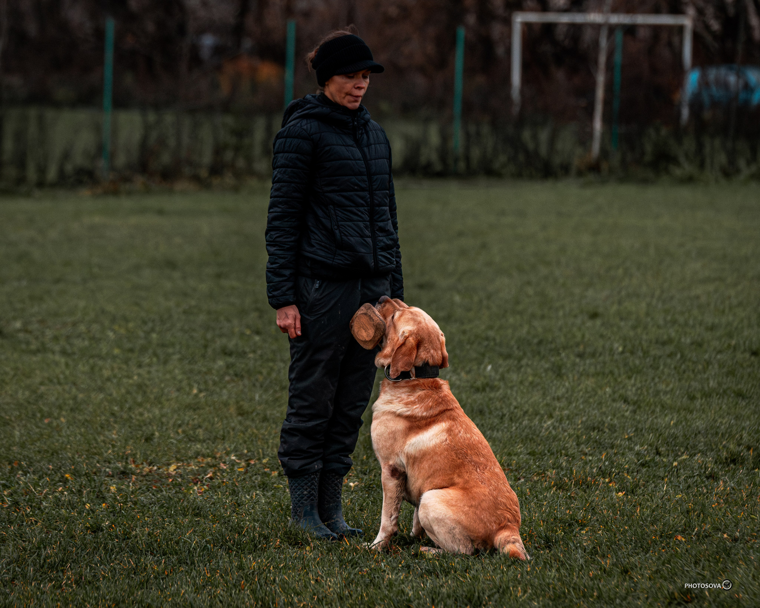 МЫ — КОМАНДА (соревнования) OKD, BH, IBGH, IGP. Фотограф-анималист, семейный фотограф в Москве и Подмосковье. Фотосъёмка кинологических дисциплин