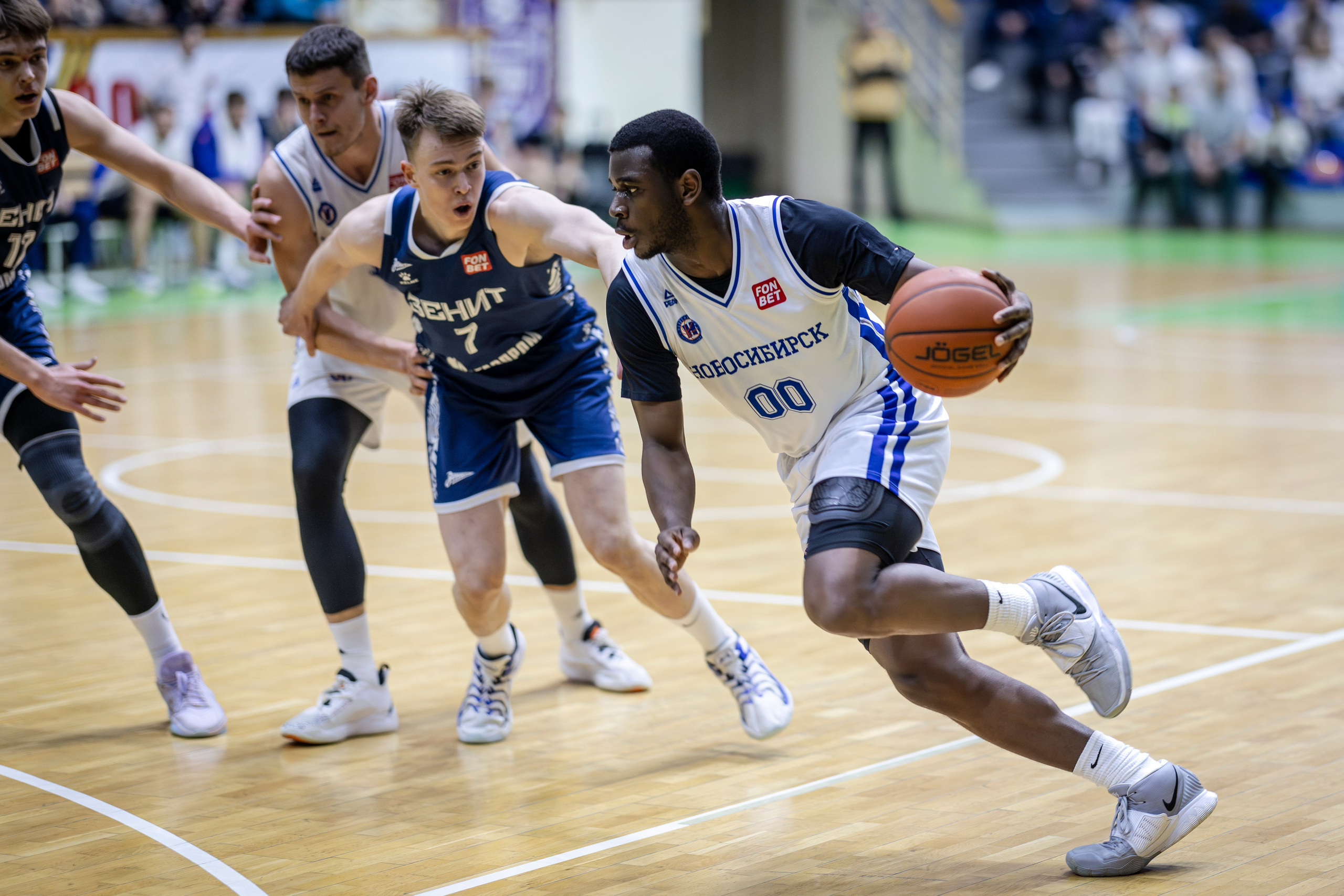 БК Новосибирск. Bertran Ordo