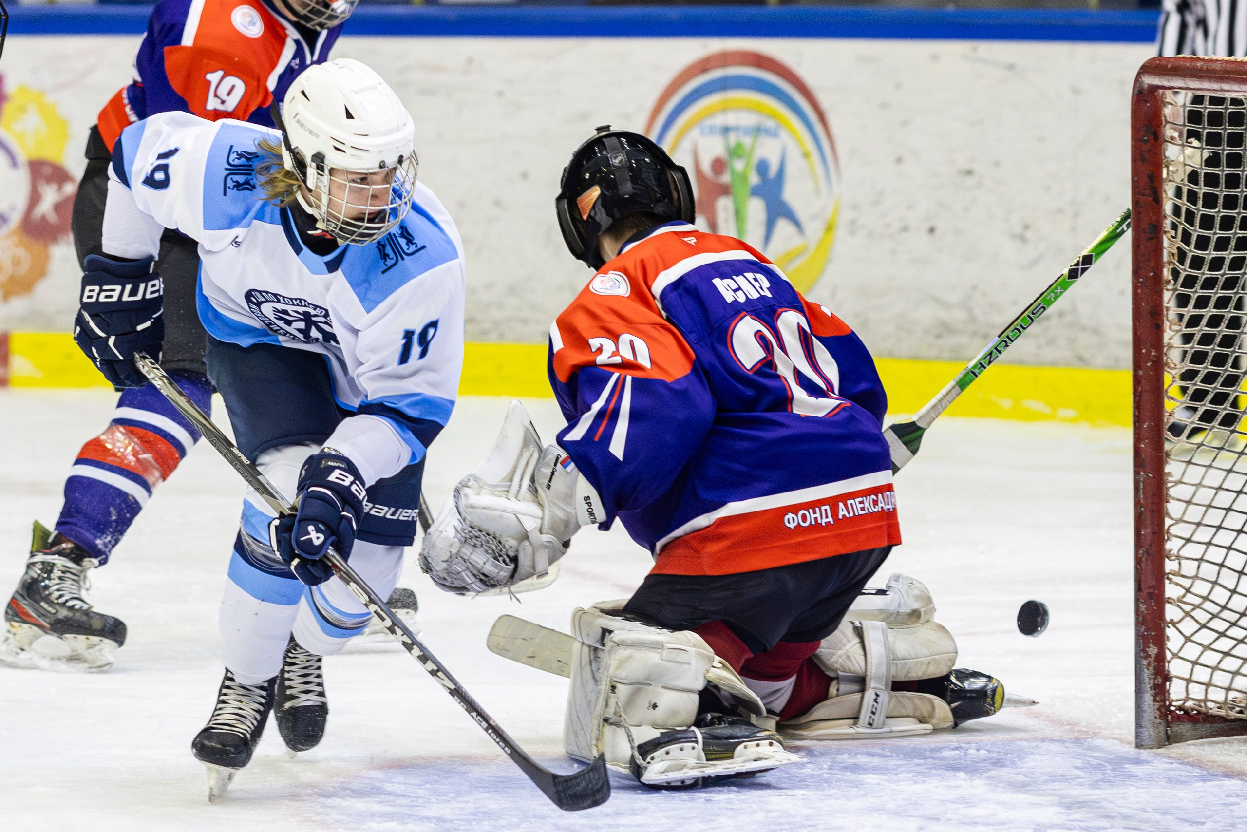 Сибирь (ЮХЛ). Bertran Ordo