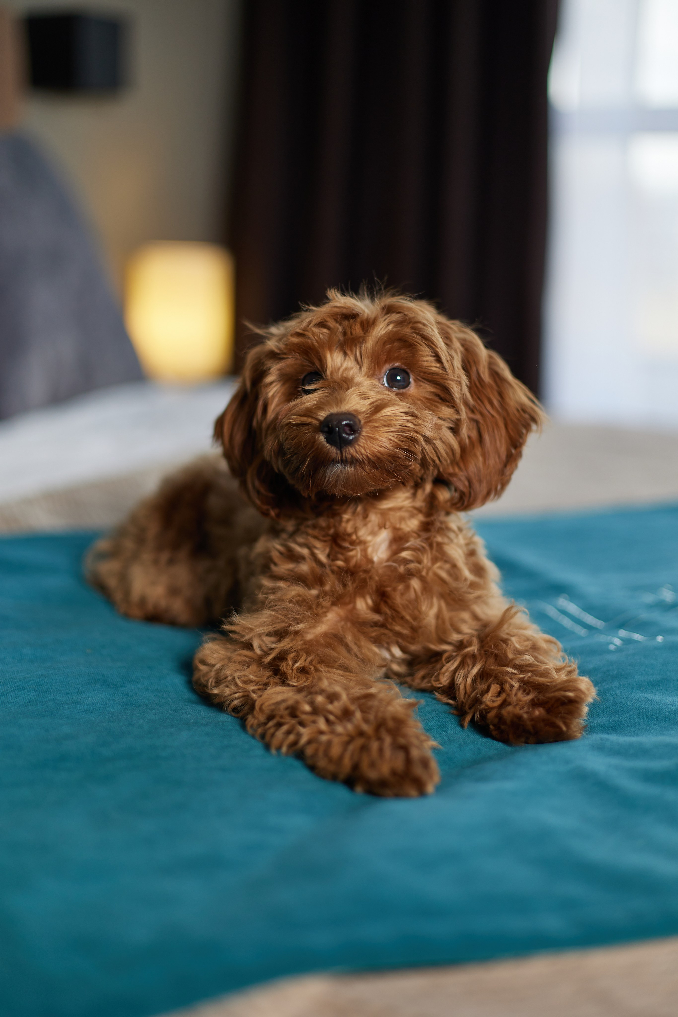 Отели. Фотограф брендов в Санкт-Петербурге Полина Суворова