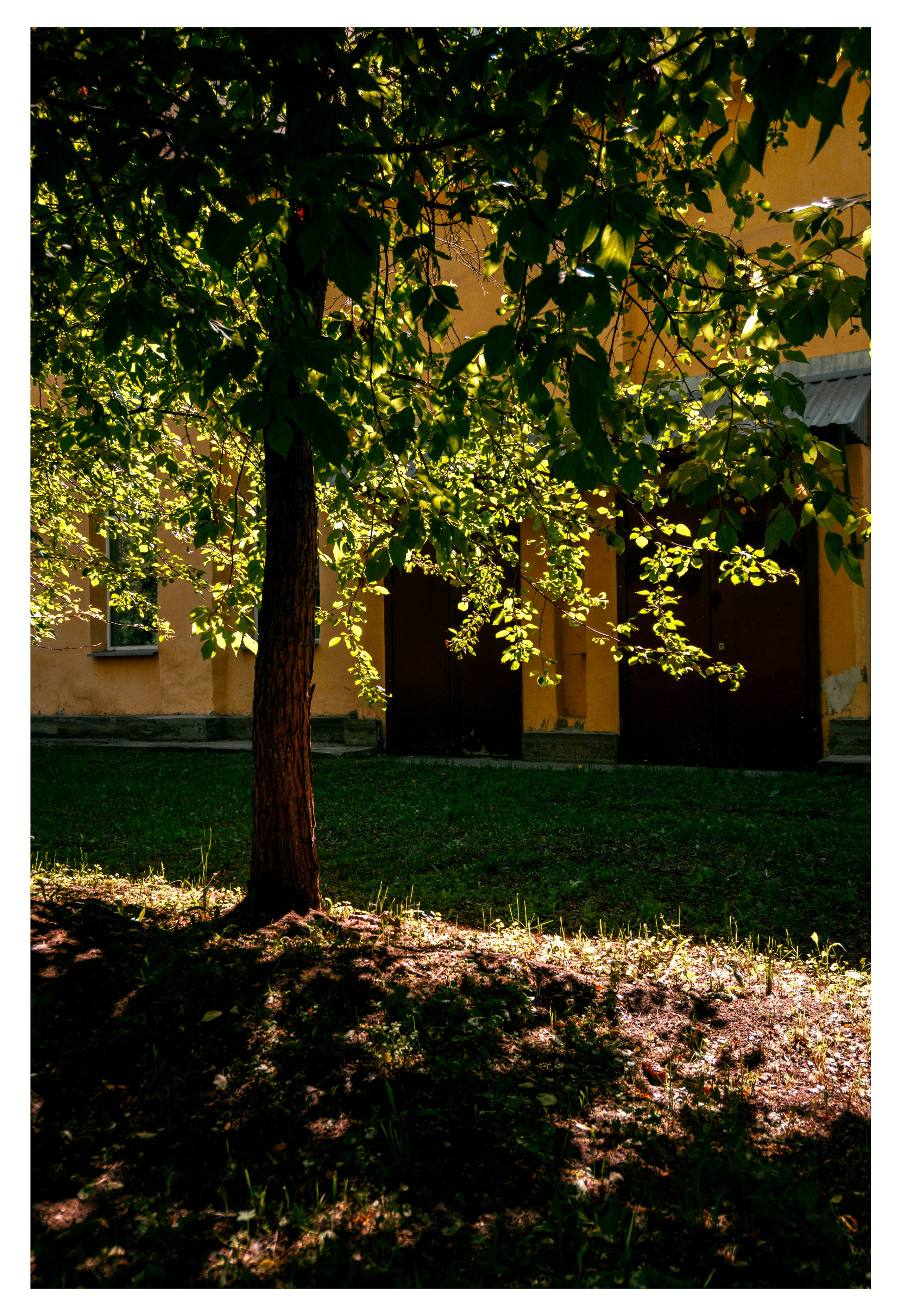 05.06.2025 | Красноярск. Kuznetsov | Фотограф в Красноярске