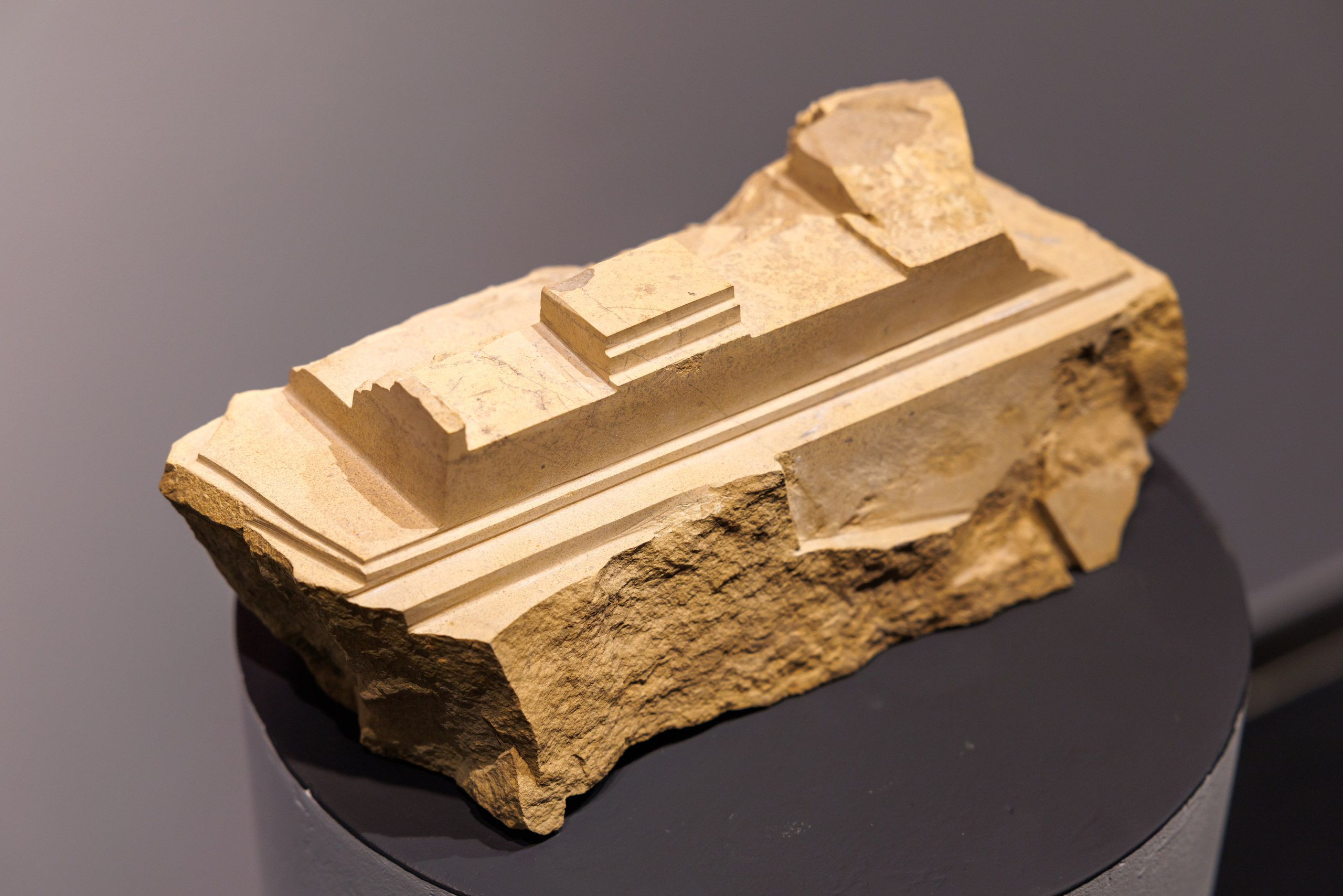 Выставка 21 день. Мосфильм. Профессиональный фотограф в Москве Захар Ишутин