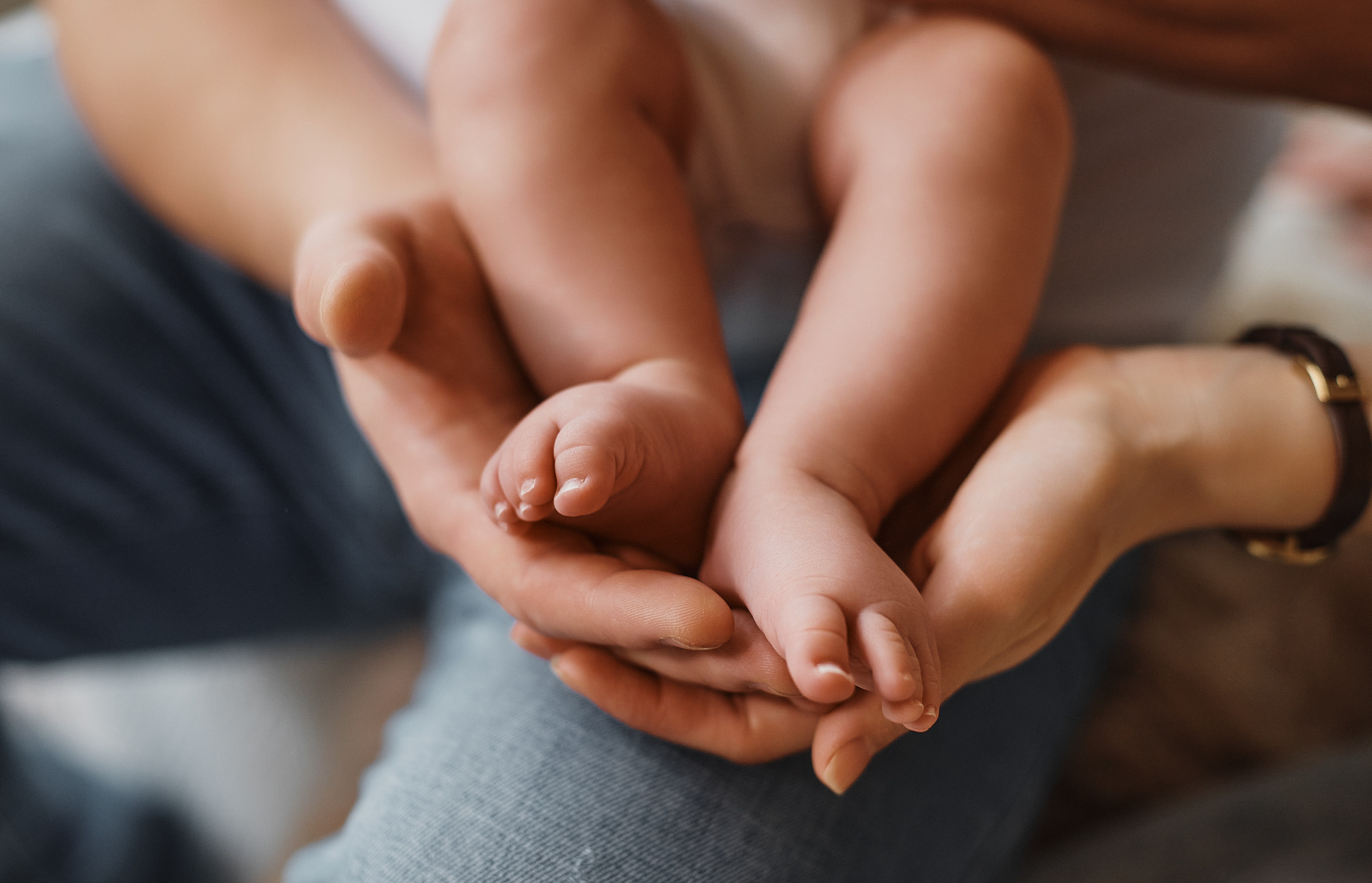 Студия. Фотограф Дрожина Светлана | г. Ростов-на-Дону, г. Волгоград