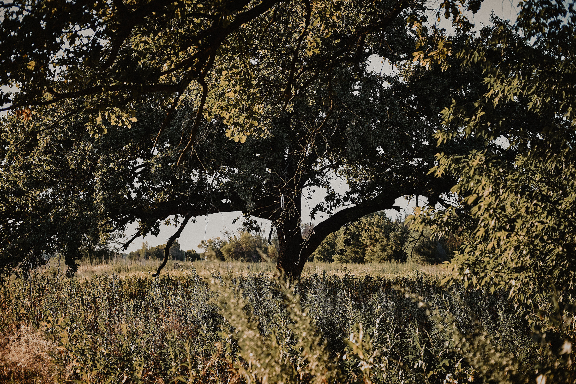 Николай и Юлия. Фотограф Дрожина Светлана | г. Ростов-на-Дону, г. Волгоград