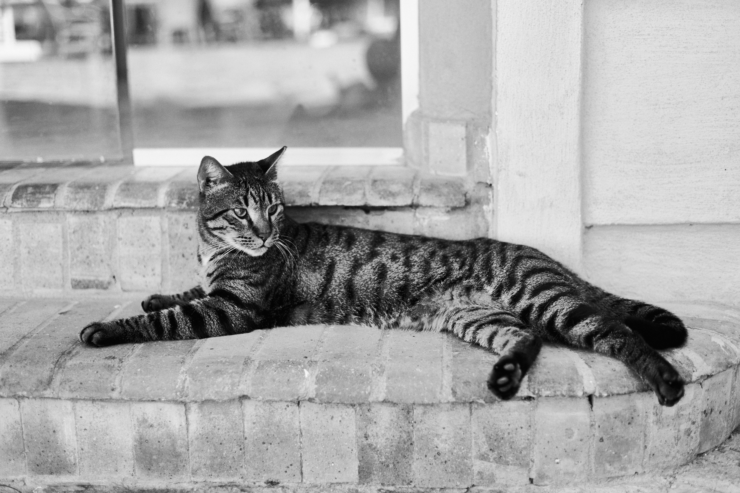 Другое 3. Jorgis Talè — photographer, kind person, teacher of arts and other mag