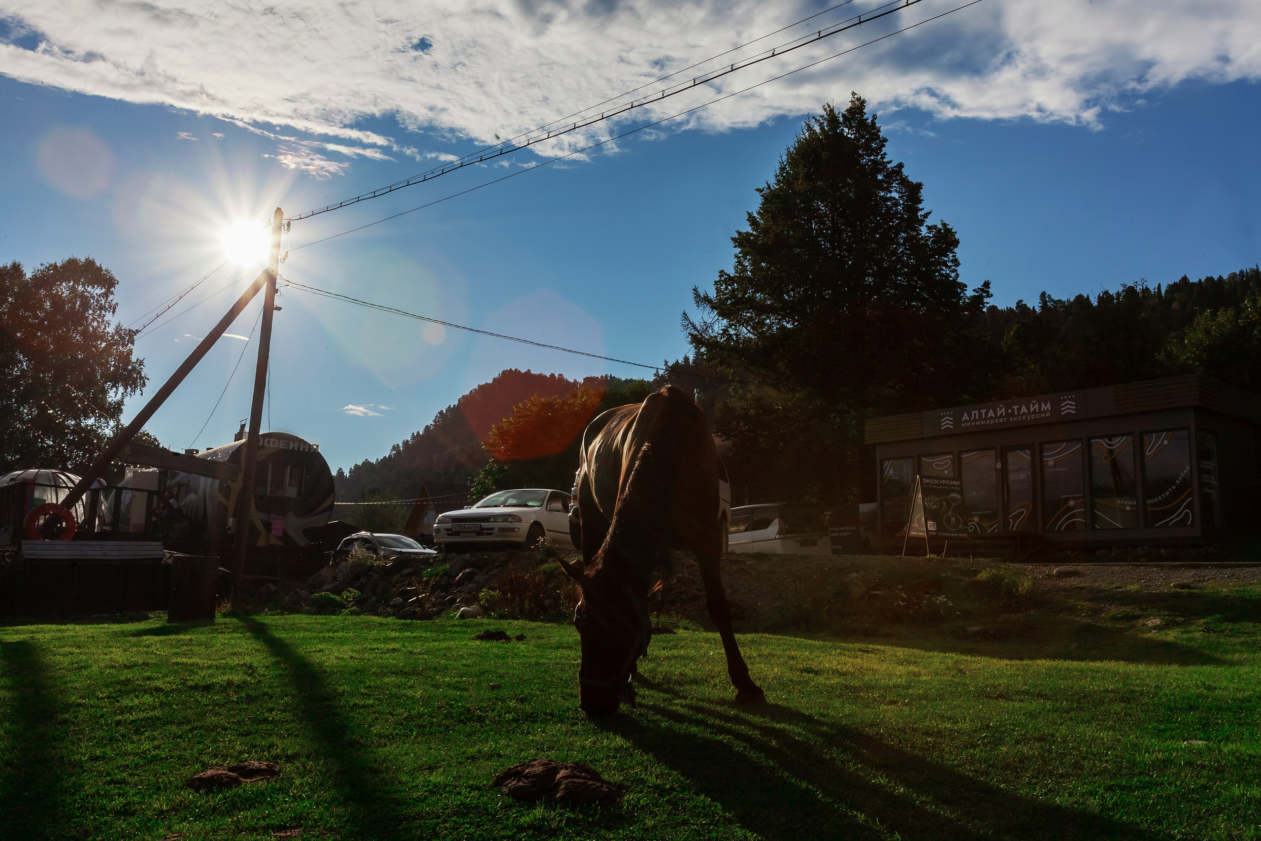 АЛТАЙ 2024 / ALTAI 2024. Главная