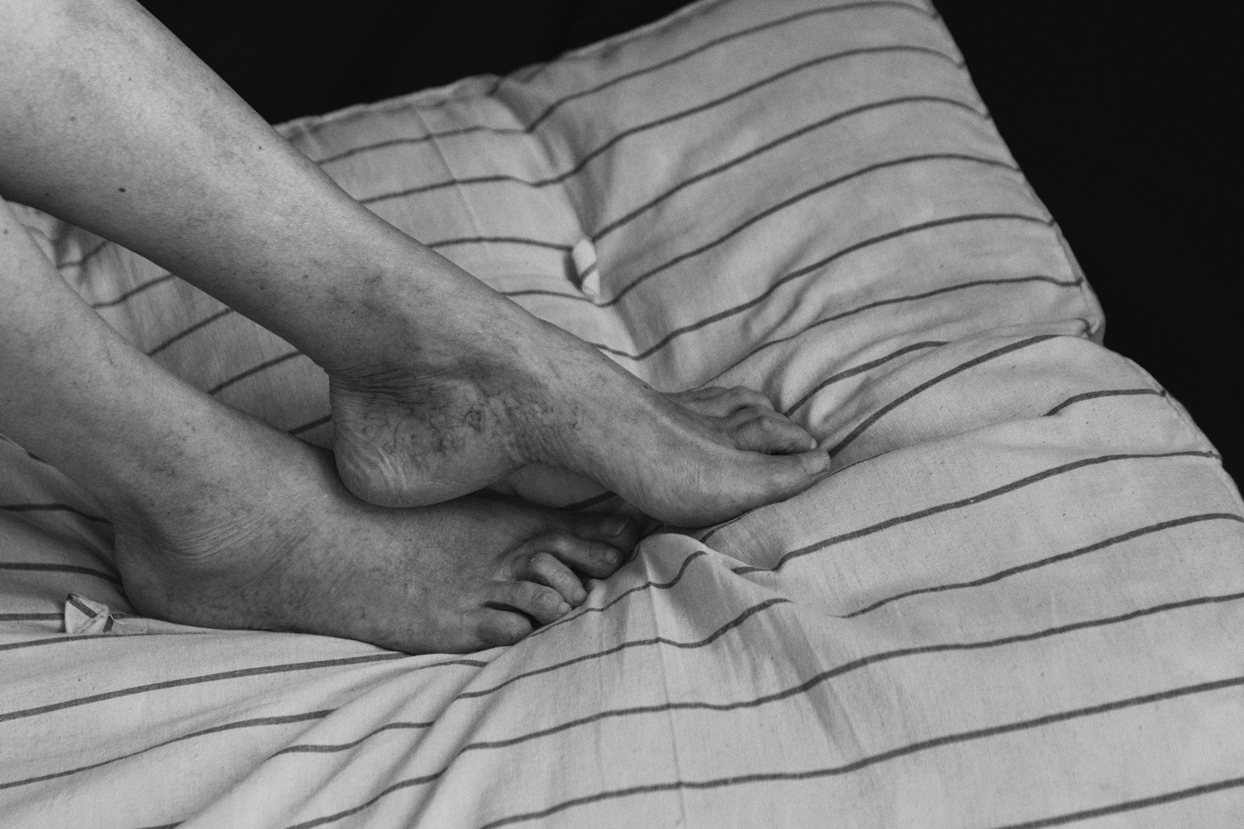 Бабочка. Фотограф в Омске Екатерина Павлова