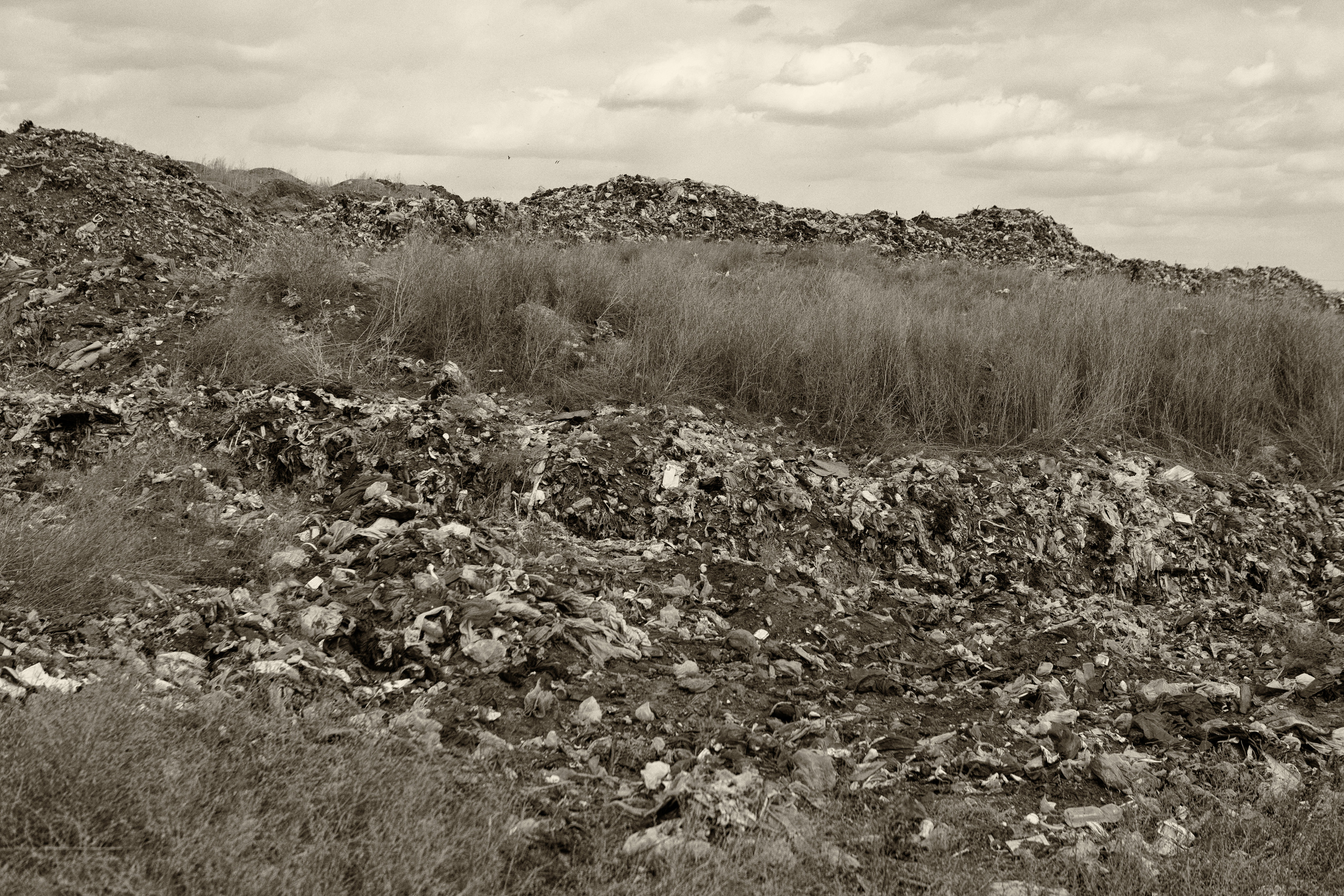 Всё в наших руках. Фотограф в Омске Екатерина Павлова
