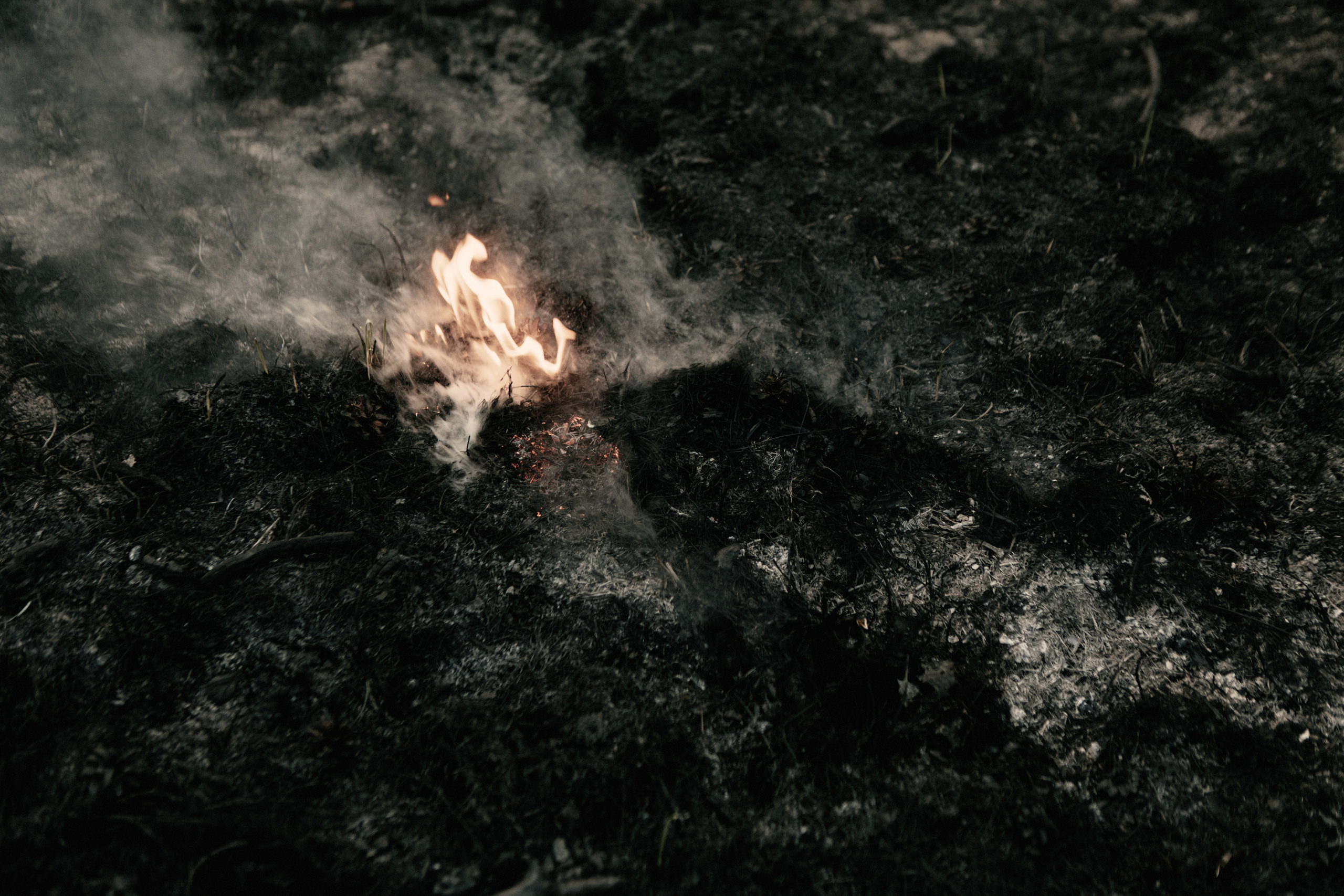 Всё в наших руках. Фотограф в Омске Екатерина Павлова