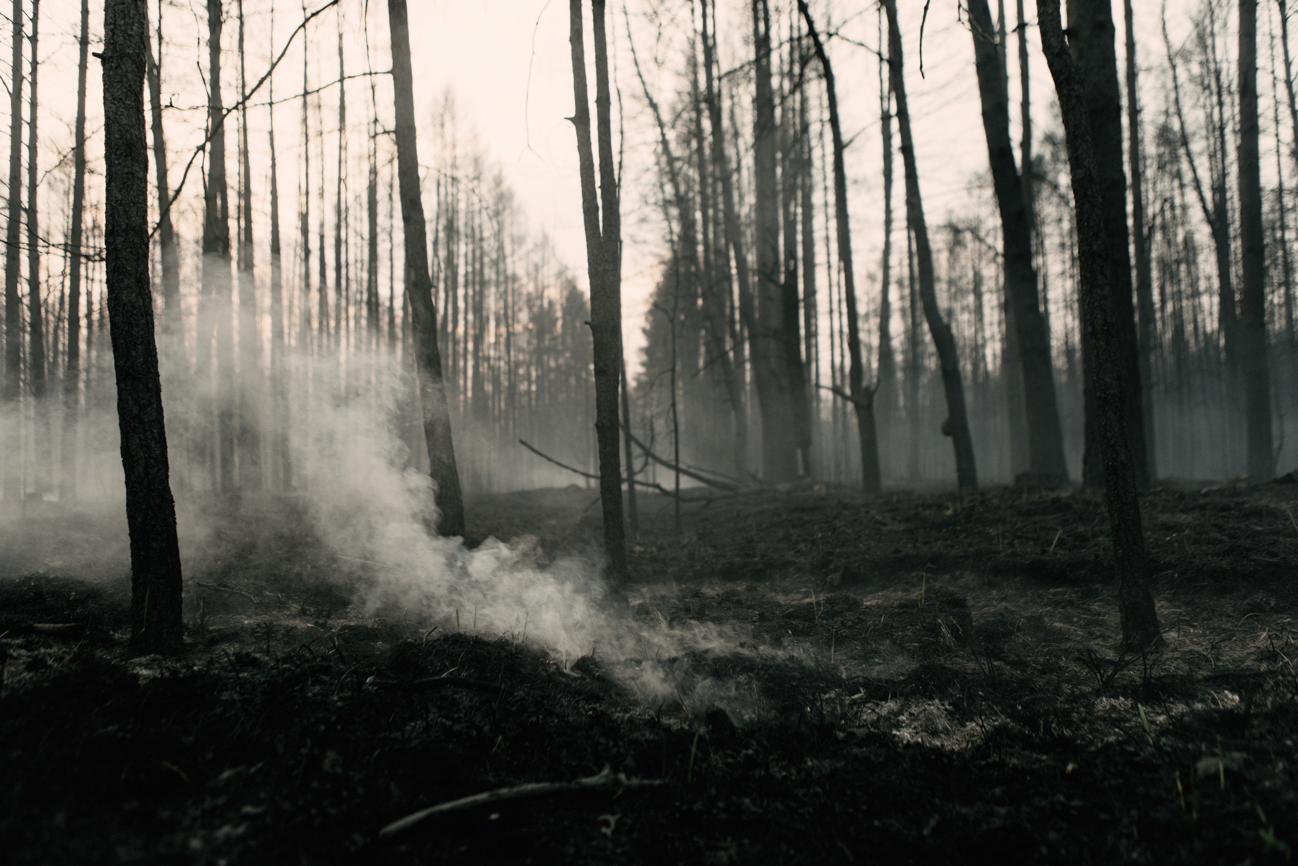 Всё в наших руках. Фотограф в Омске Екатерина Павлова