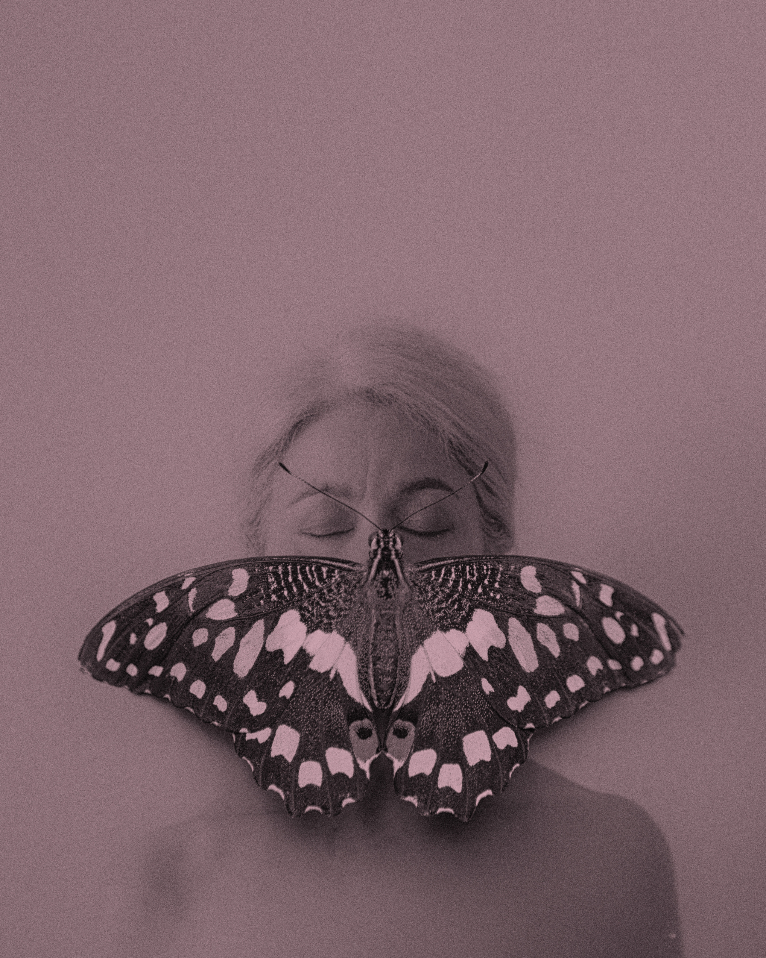 Бабочка. Фотограф в Омске Екатерина Павлова