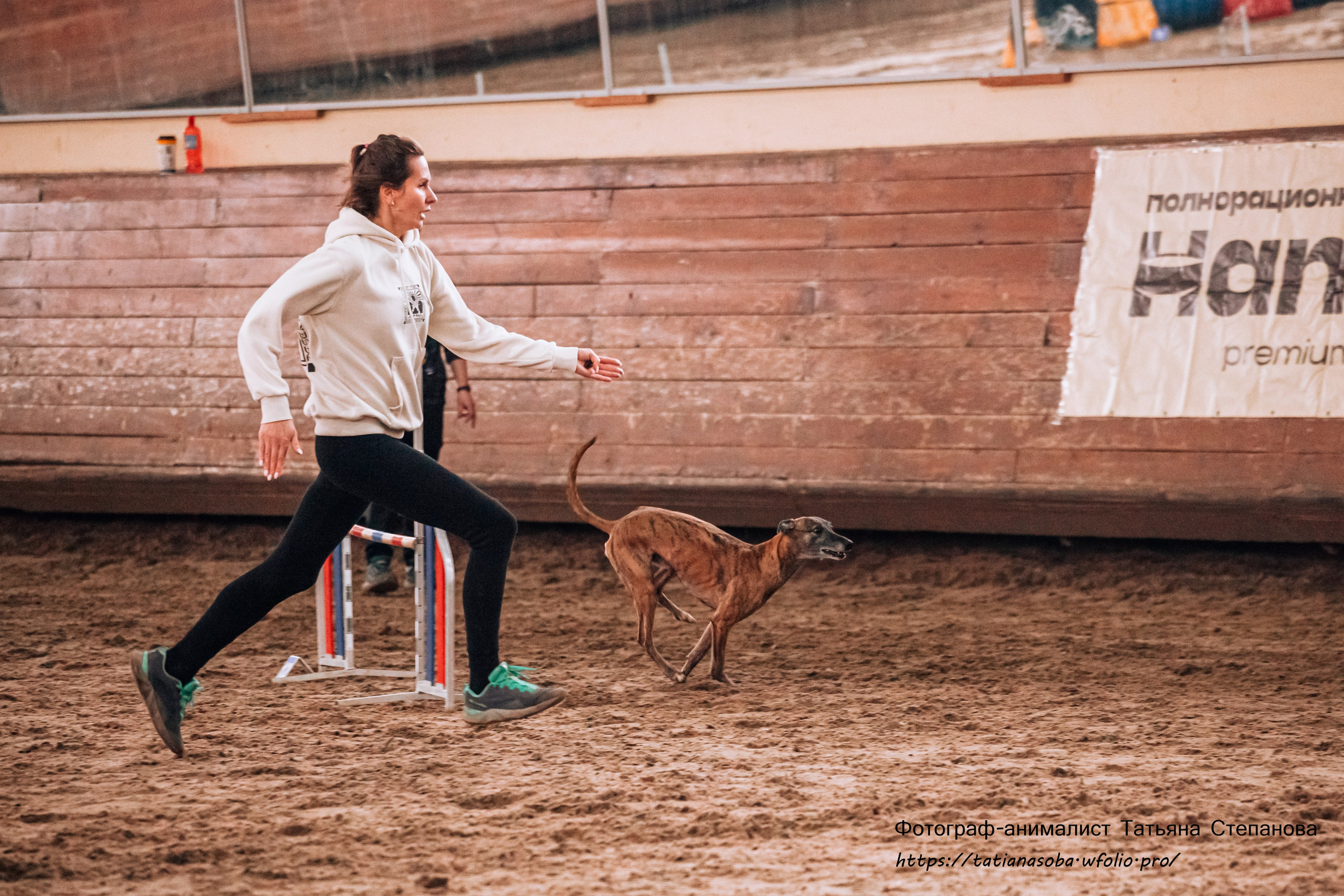 Соревнования по Аджилити 25.02.2024. Фотограф-анималист Татьяна Степанова