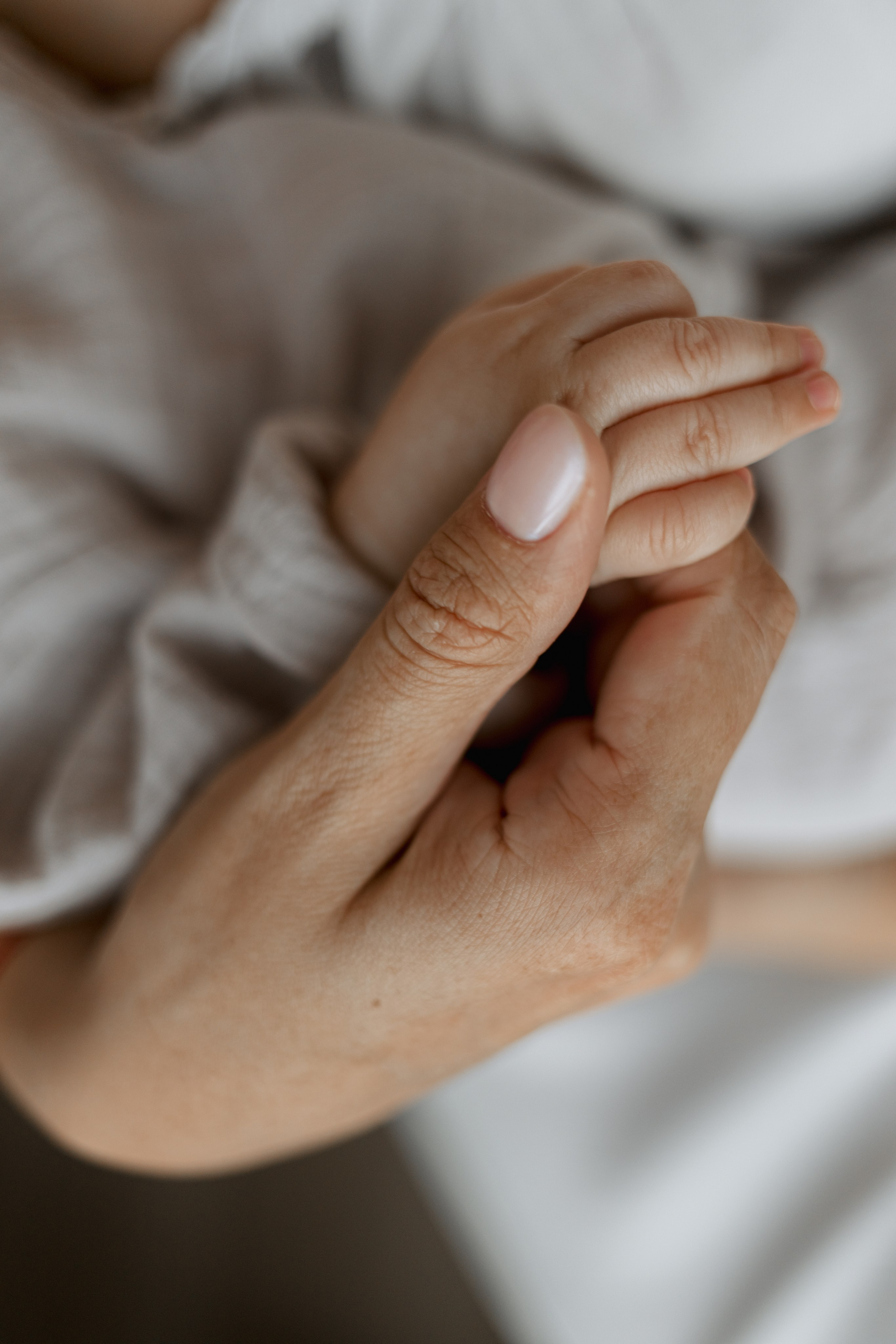 Домашние. Фотограф Москва