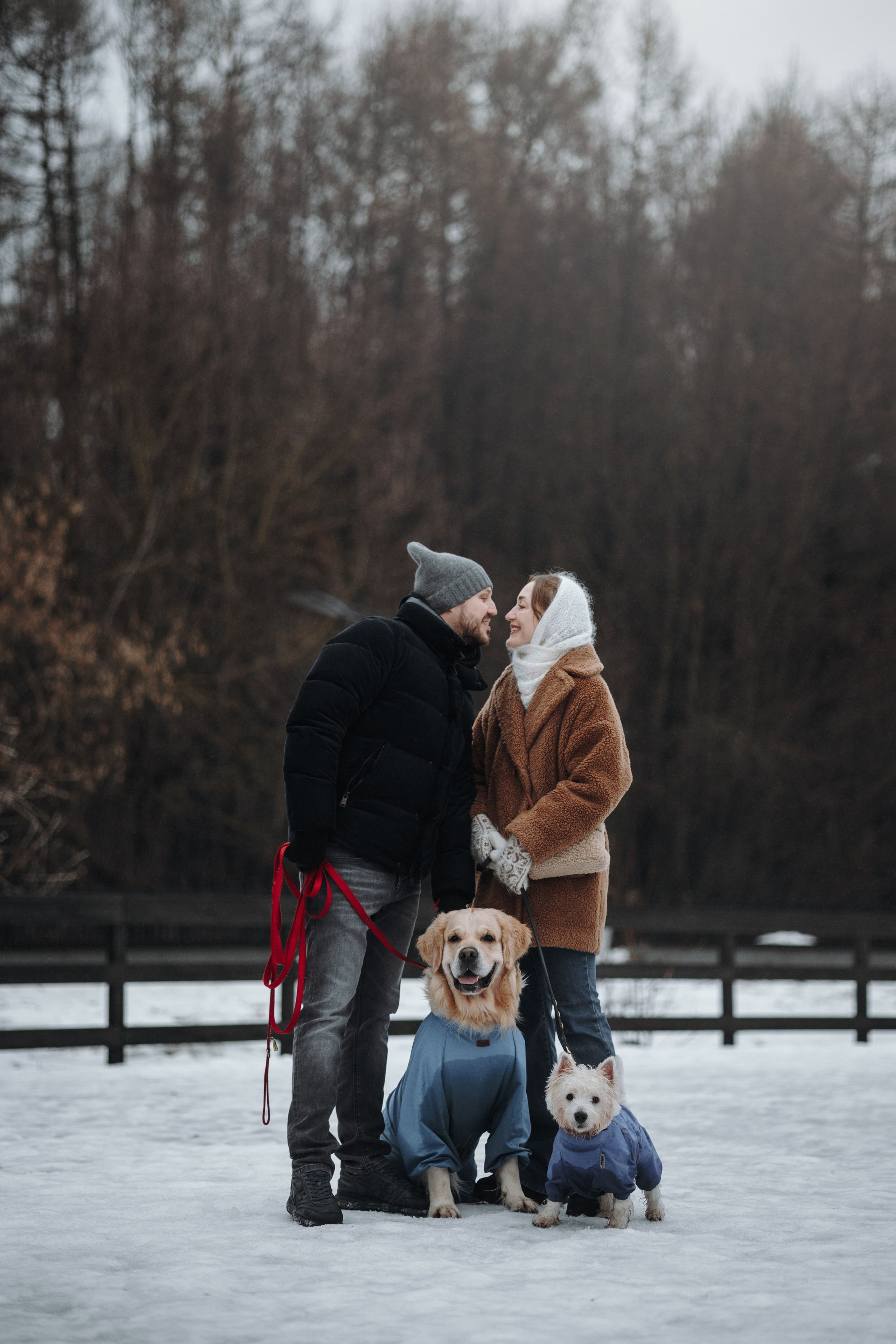 Шелби, Ватсон и ребята. Фотограф — Анималист | Санкт-Петербург