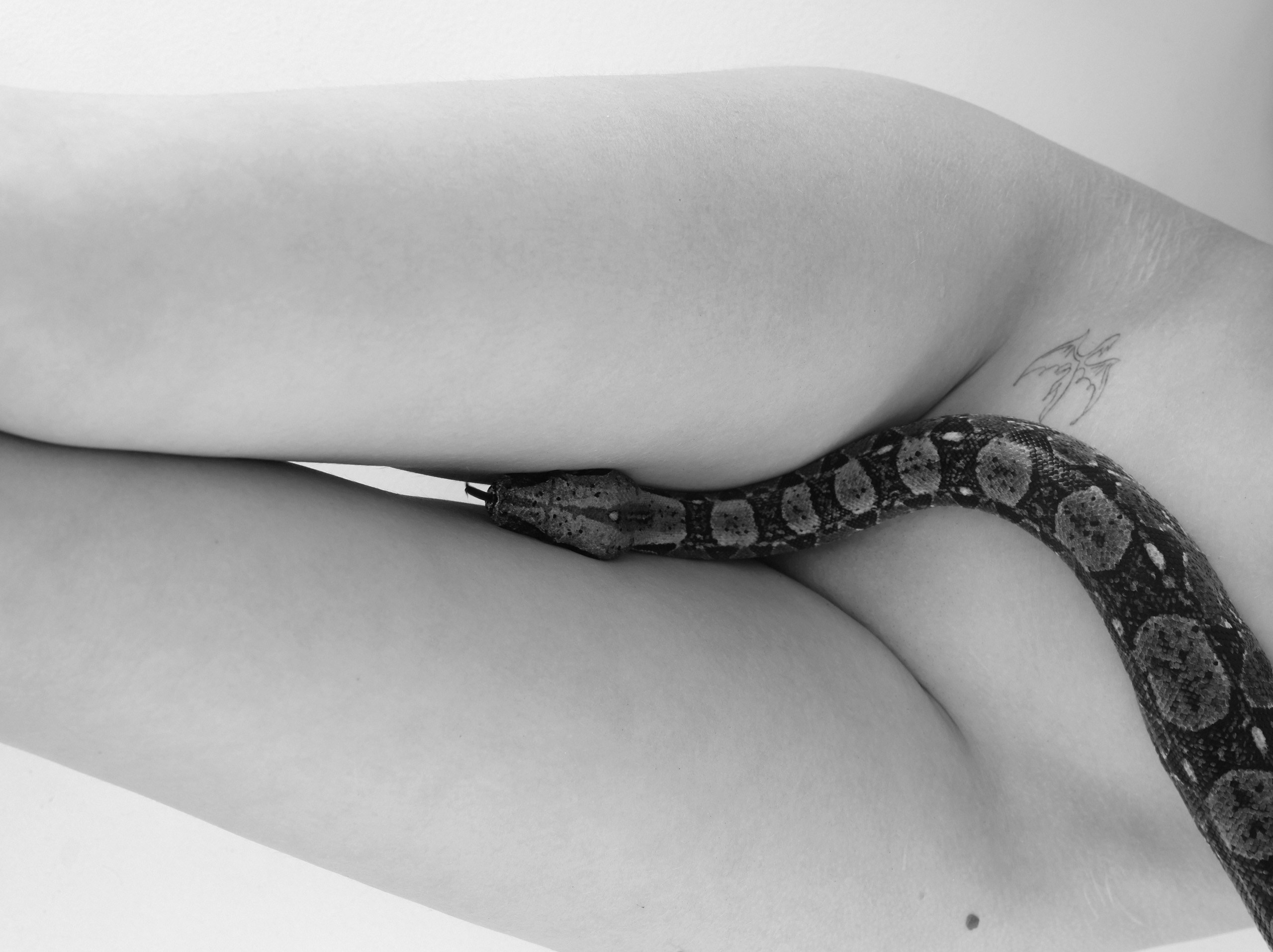 Портфолио. Творческий фотограф в Екатеринбурге, Михаил Шатихин