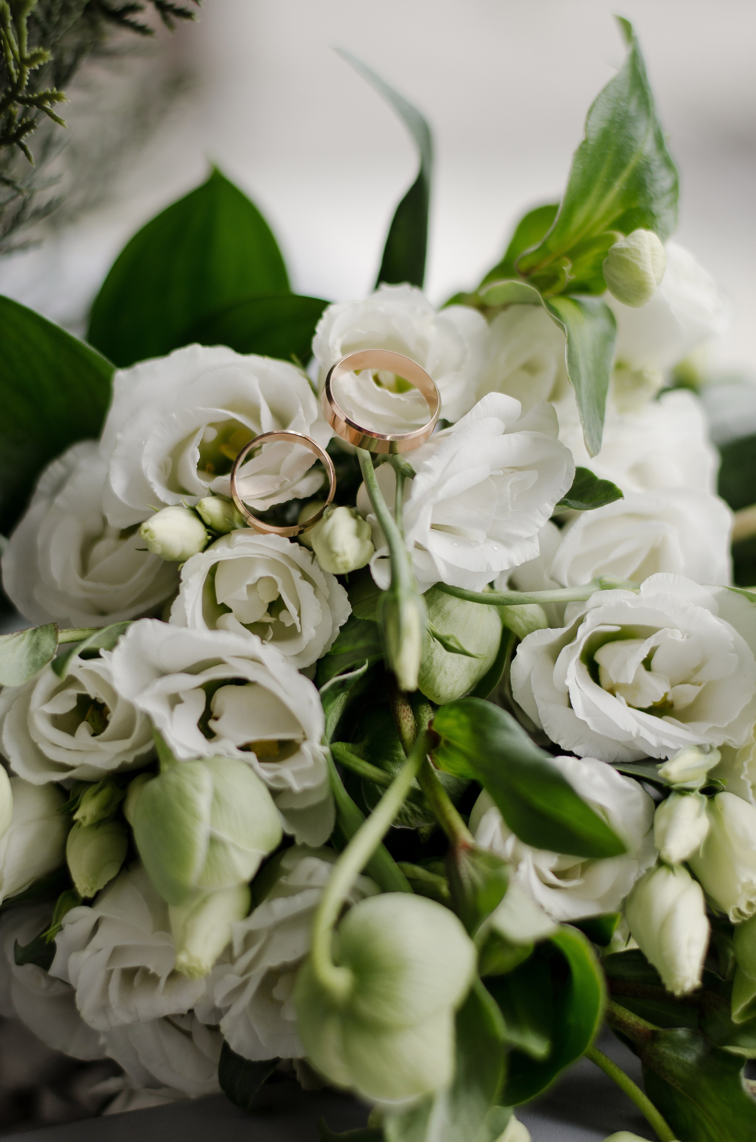 Wed. Фотограф в Кемерово, Ольга Гаврилова