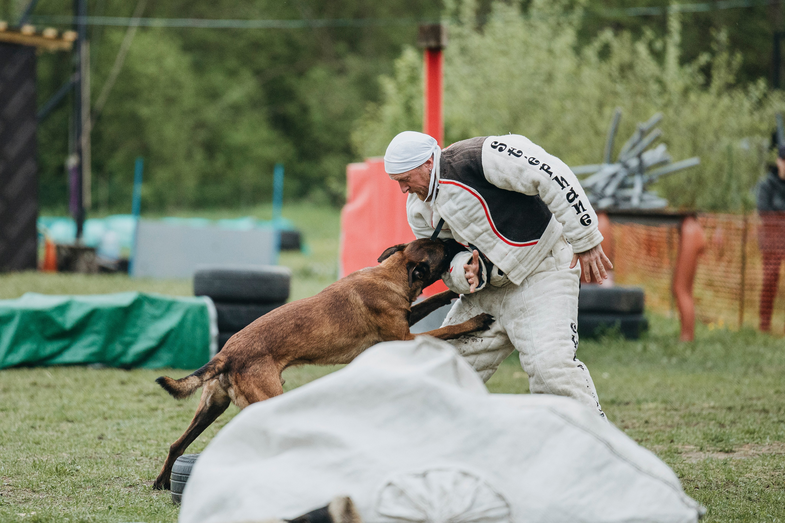 26.05.25 г. Пушкин квалификационные соревнования. Фотограф-анималист Анна Маринич