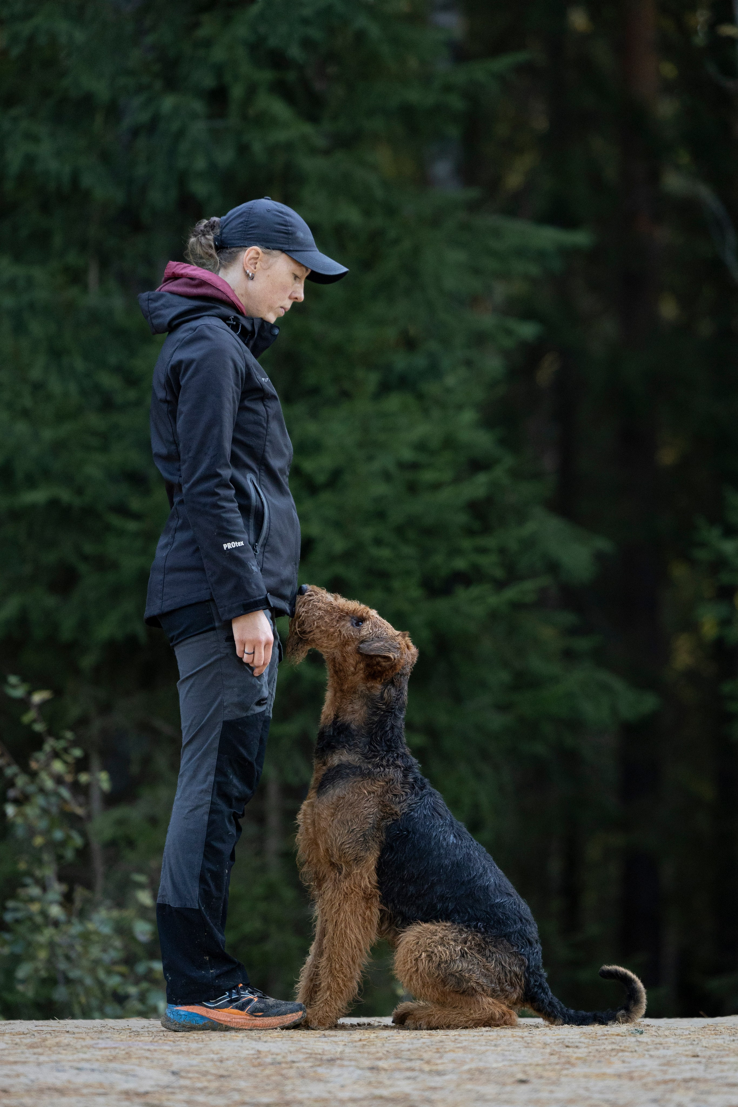 Харди. Фотограф-анималист Анна Маринич