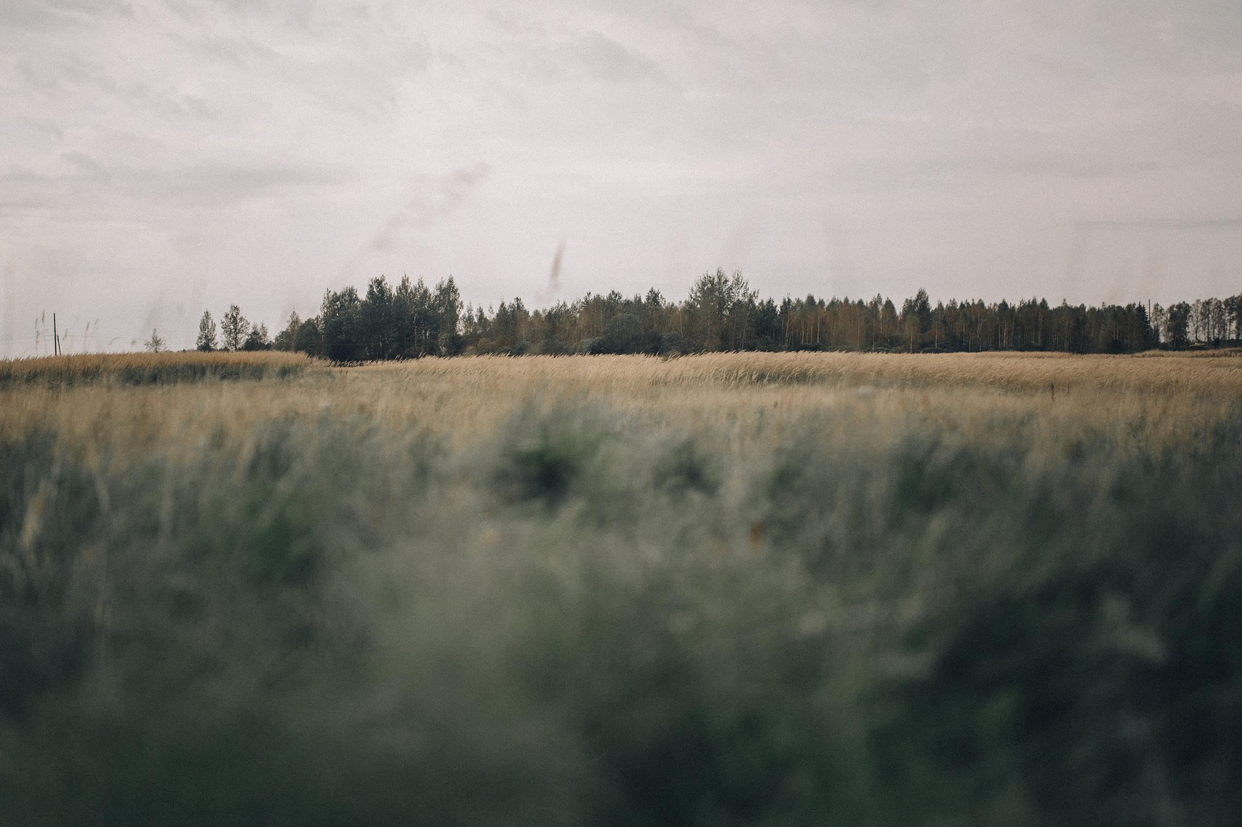 Кино о большой любви к детям. Анастасия Гольнева