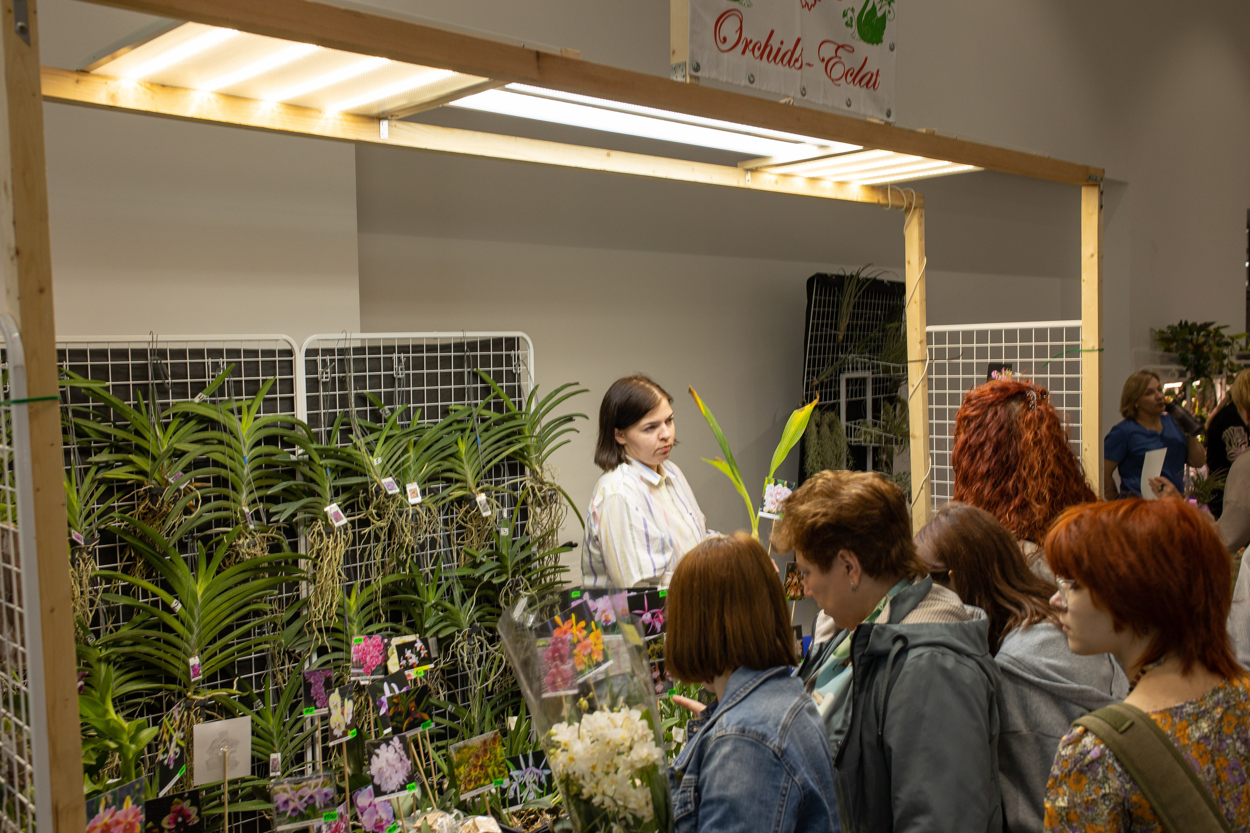 Орхидиум июнь 2024. Александра Куликова фотограф, Москва