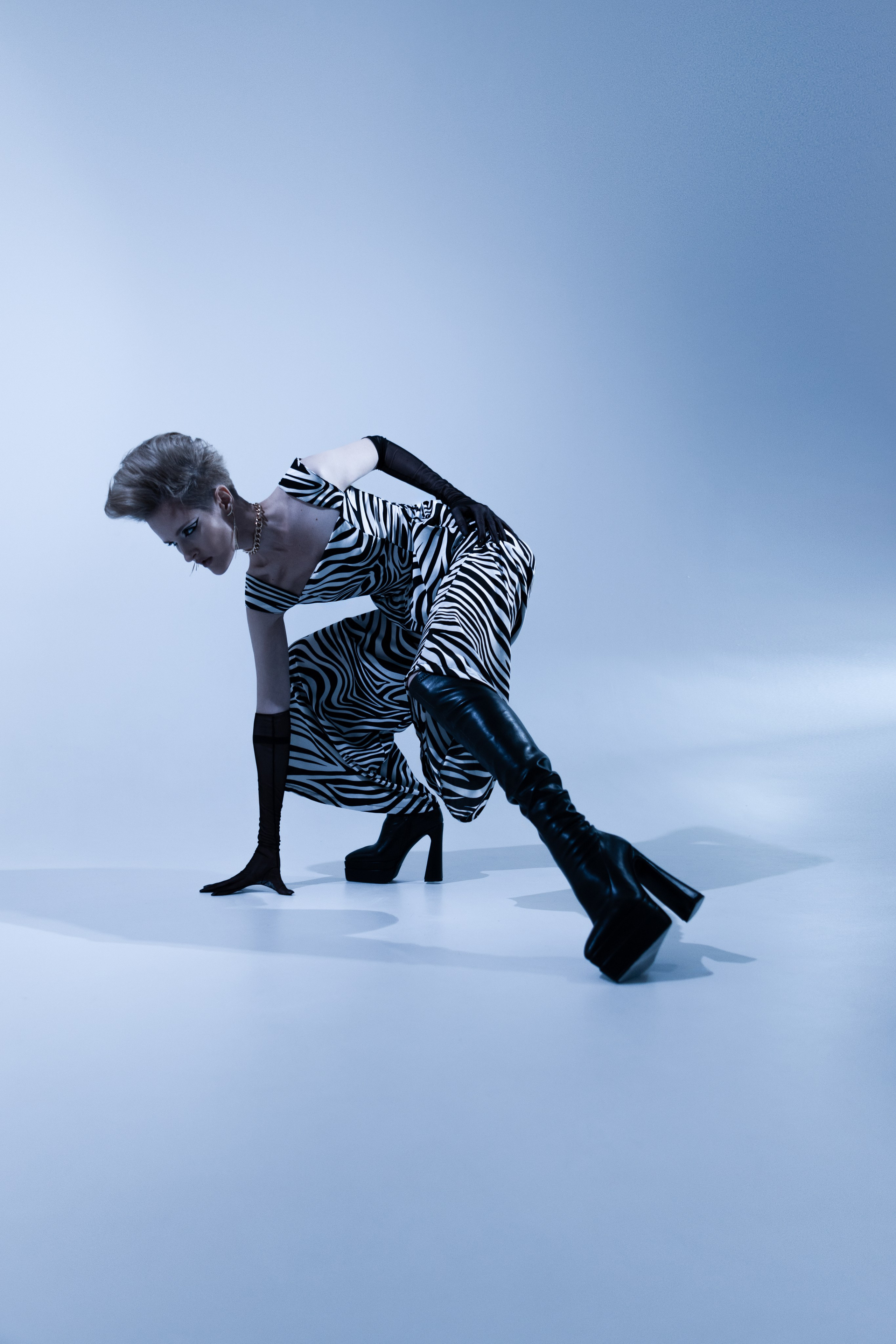 Zebra by Vlasenko. Fashion Фотограф в СПб Yana Kochkina