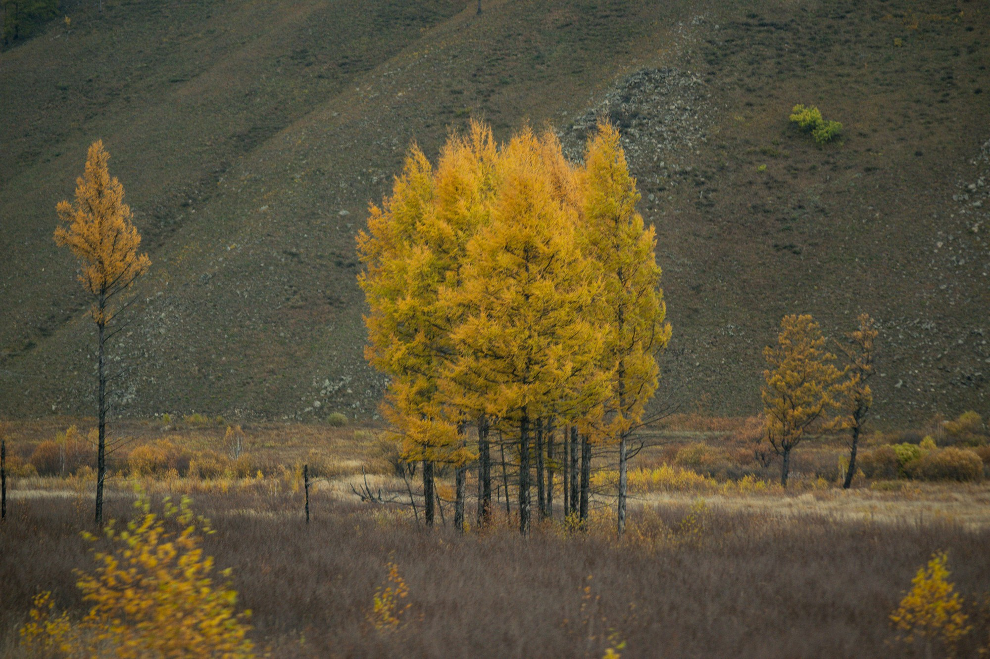 Разное. Репортажный фотограф г. Чита