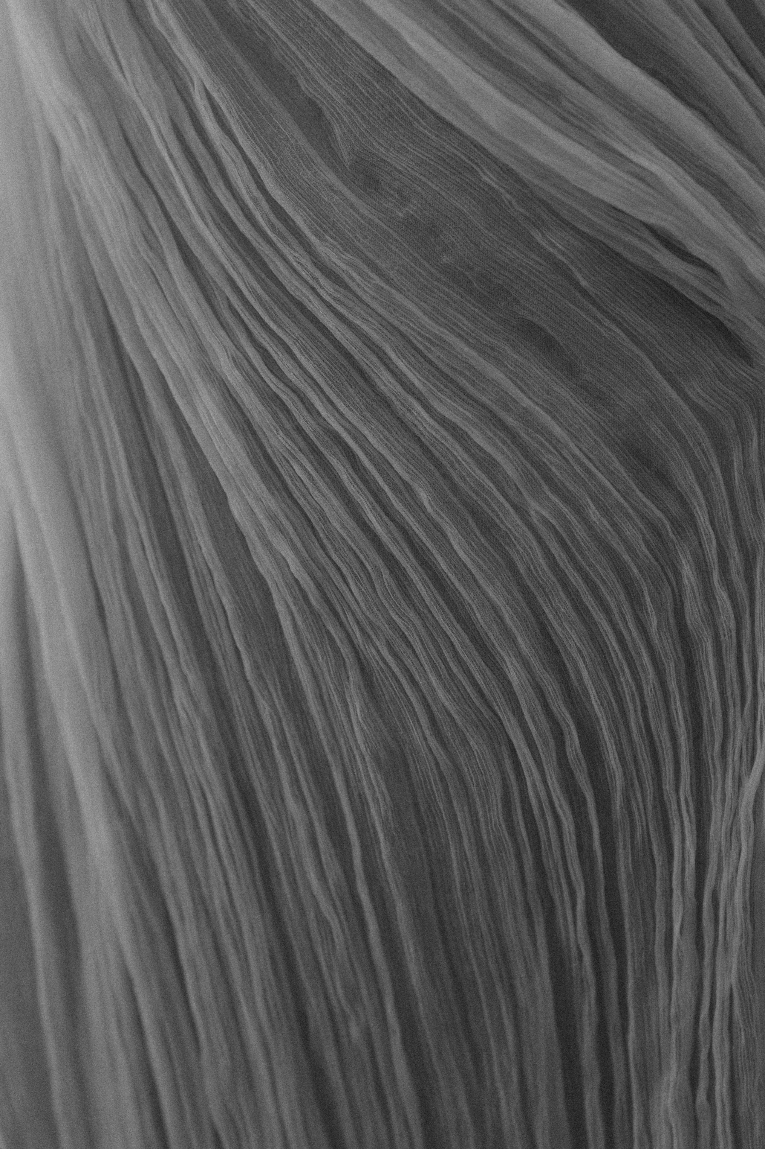 Открытие Kuraje. Фотограф в Санкт-Петербурге Ольга Андрианова