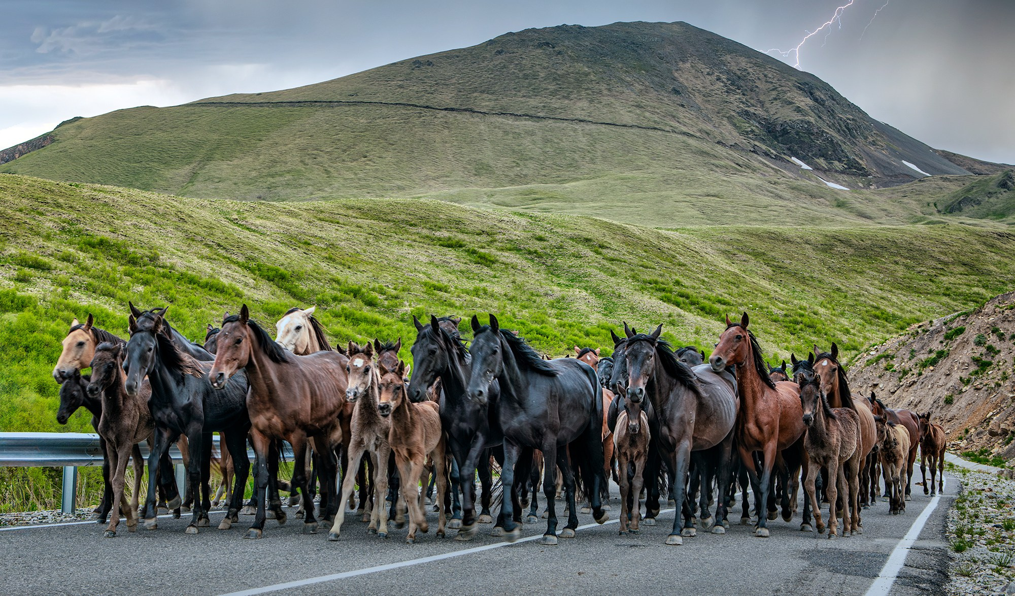 Северный Кавказ, Россия. Фотограф Владимир Остапенко