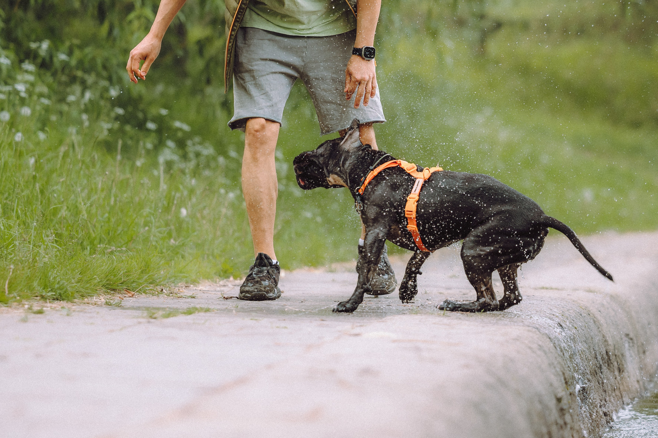Паша, Хайди и Тея