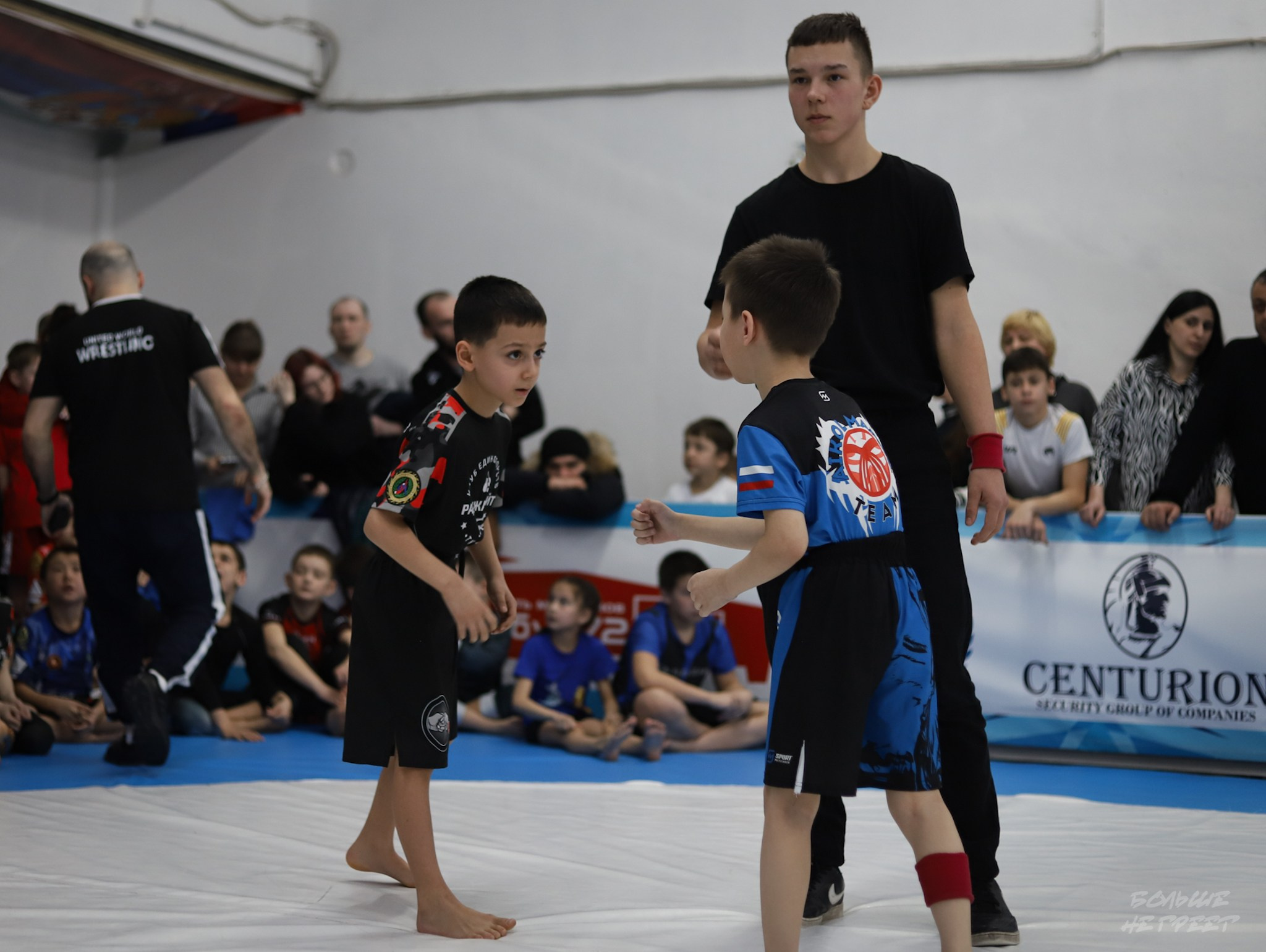 GORILLA PRIDE CUP. Больше не греет