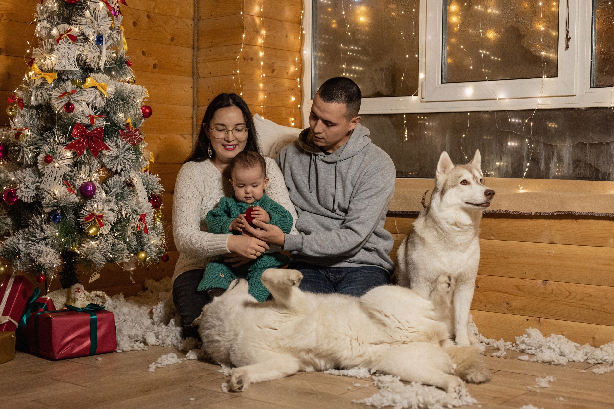Фотопроект с хаски 2025 г. Фотограф в городе Салават