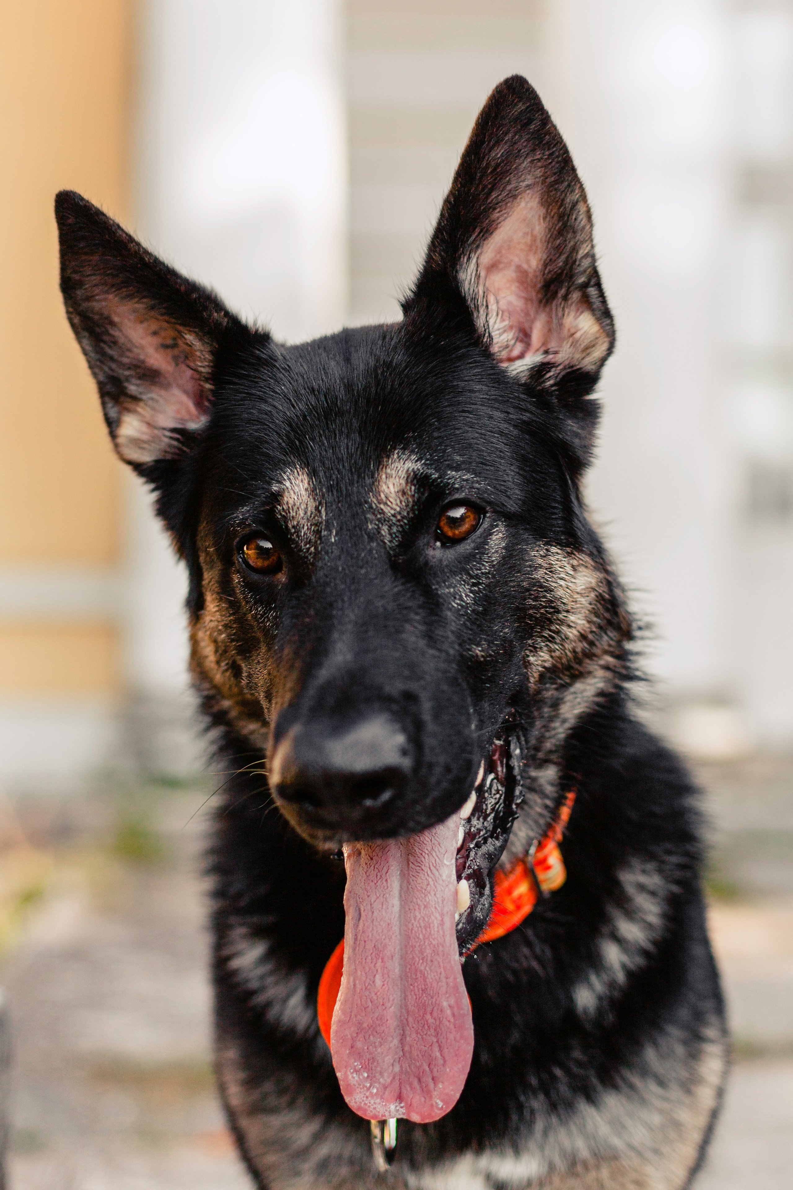 Илай. Фотограф-анималист Татьяна Степанова