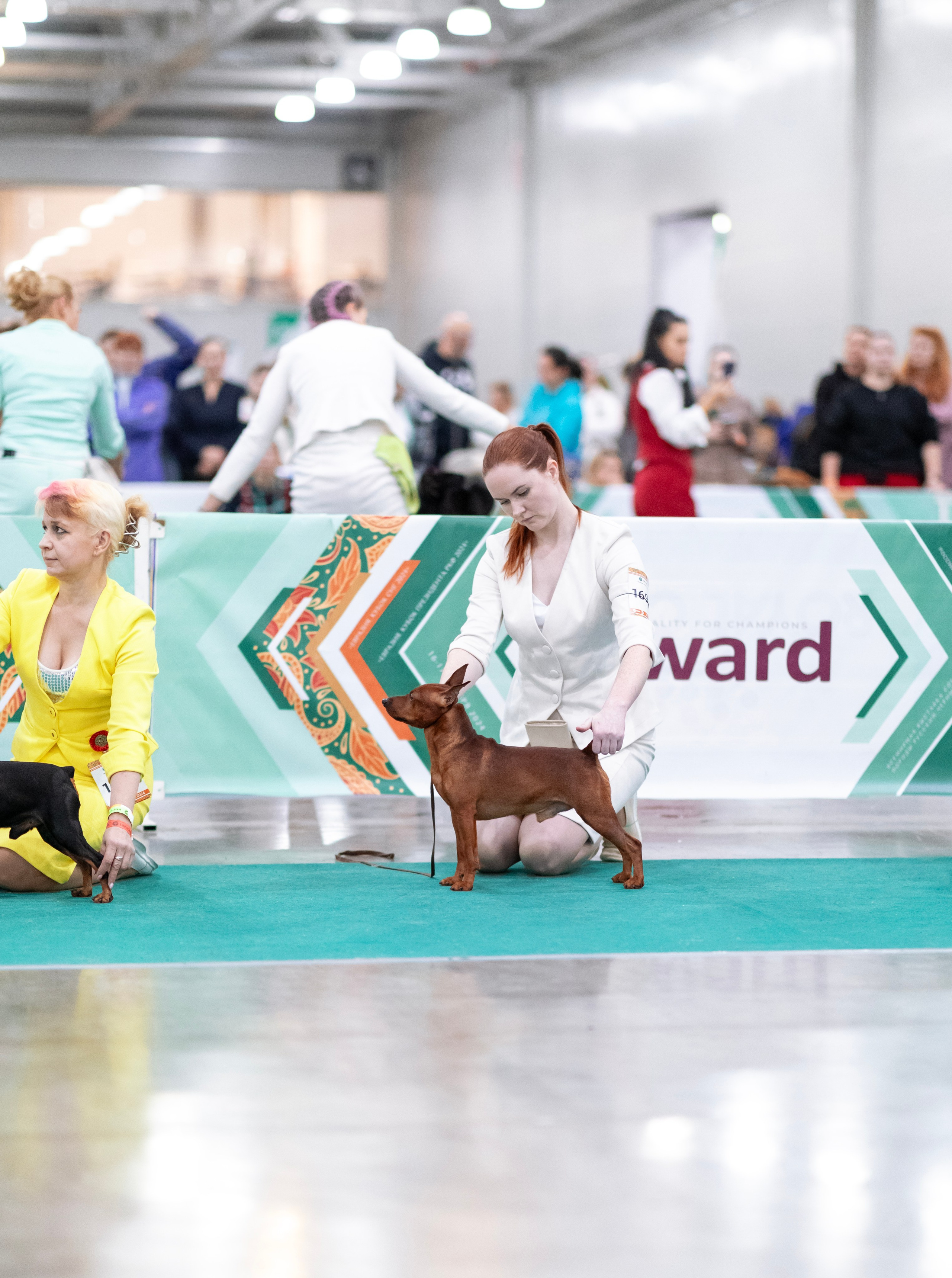 Евразия. Фотограф — анималист Татьяна Ли