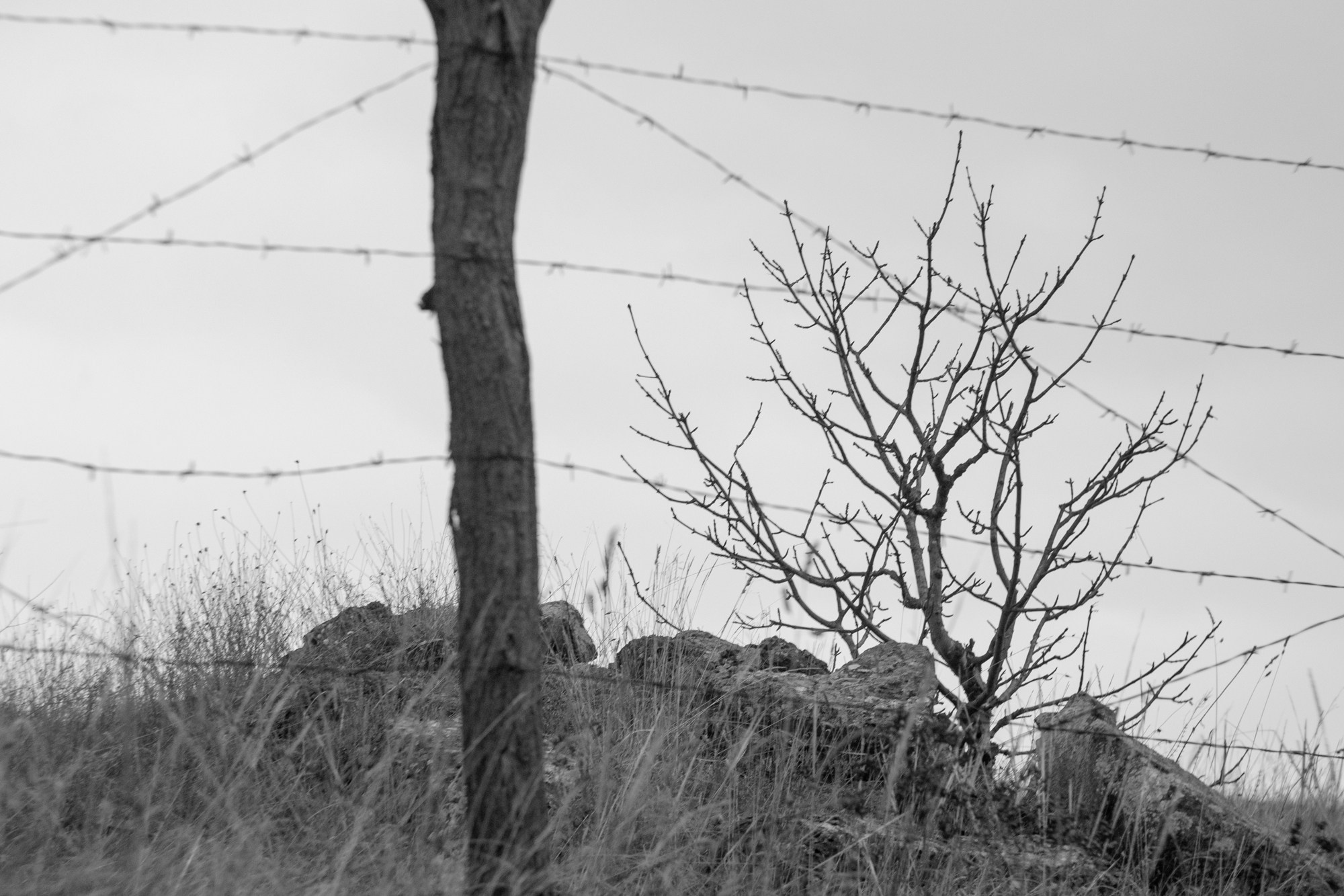 WAITING HALL. Alexander Malchenko