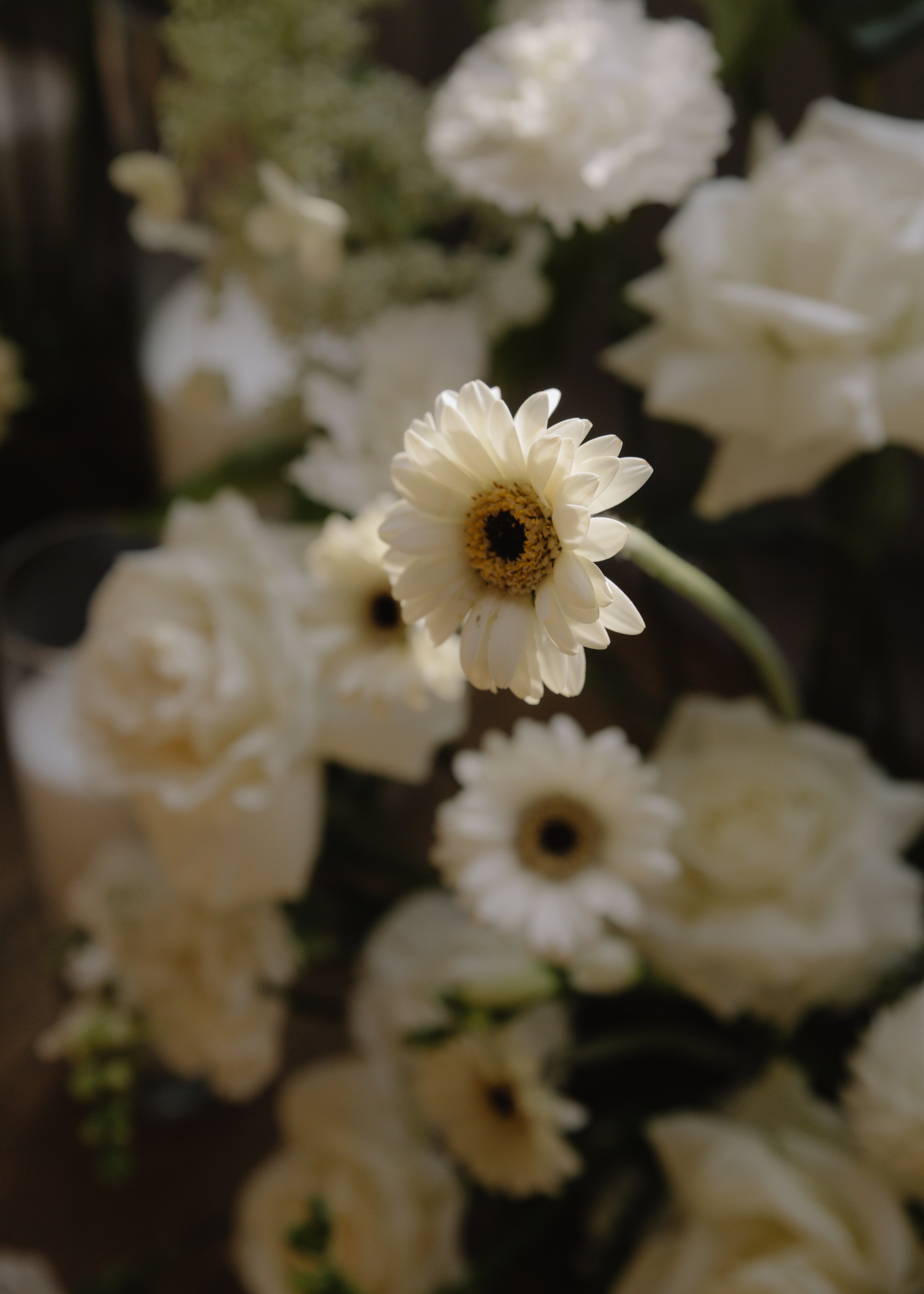 Андрей & Лиза. Свадебный фотограф Москва и Подмосковье