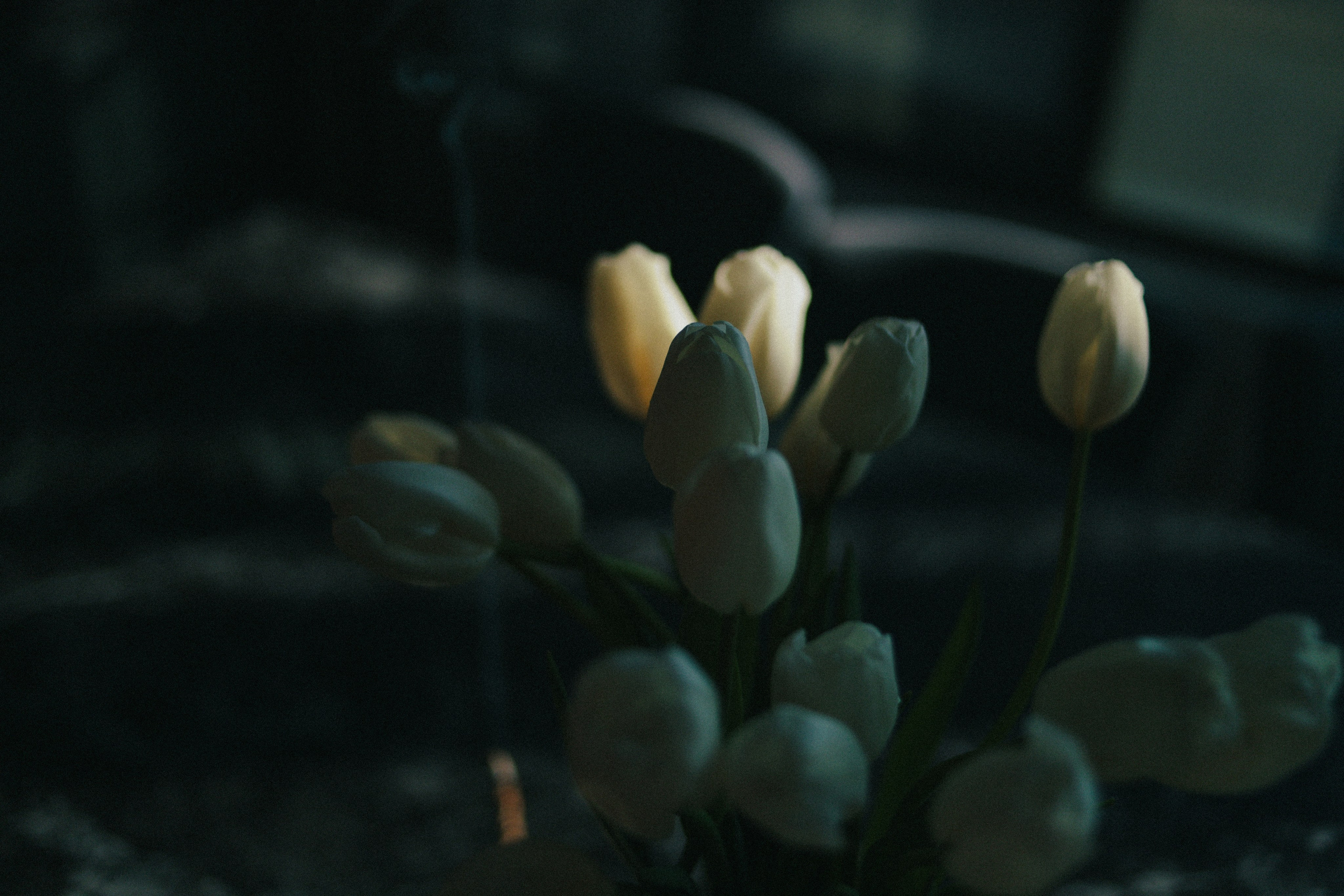 Рита. Фотограф Блинова Арина | Санк-Петербург