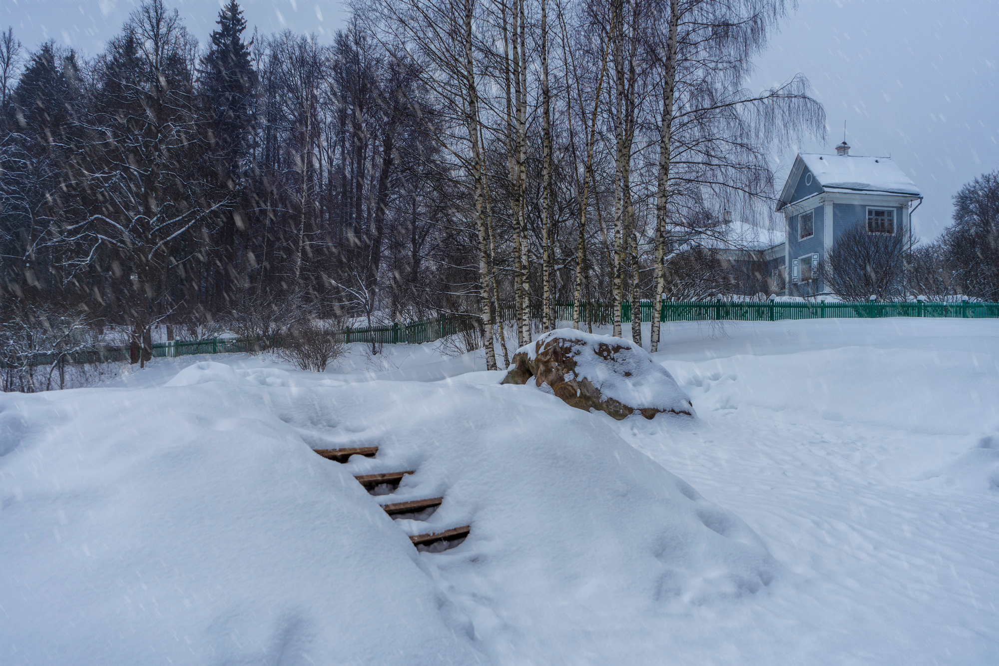 Зима в Шахматова. Семейный и детский фотограф