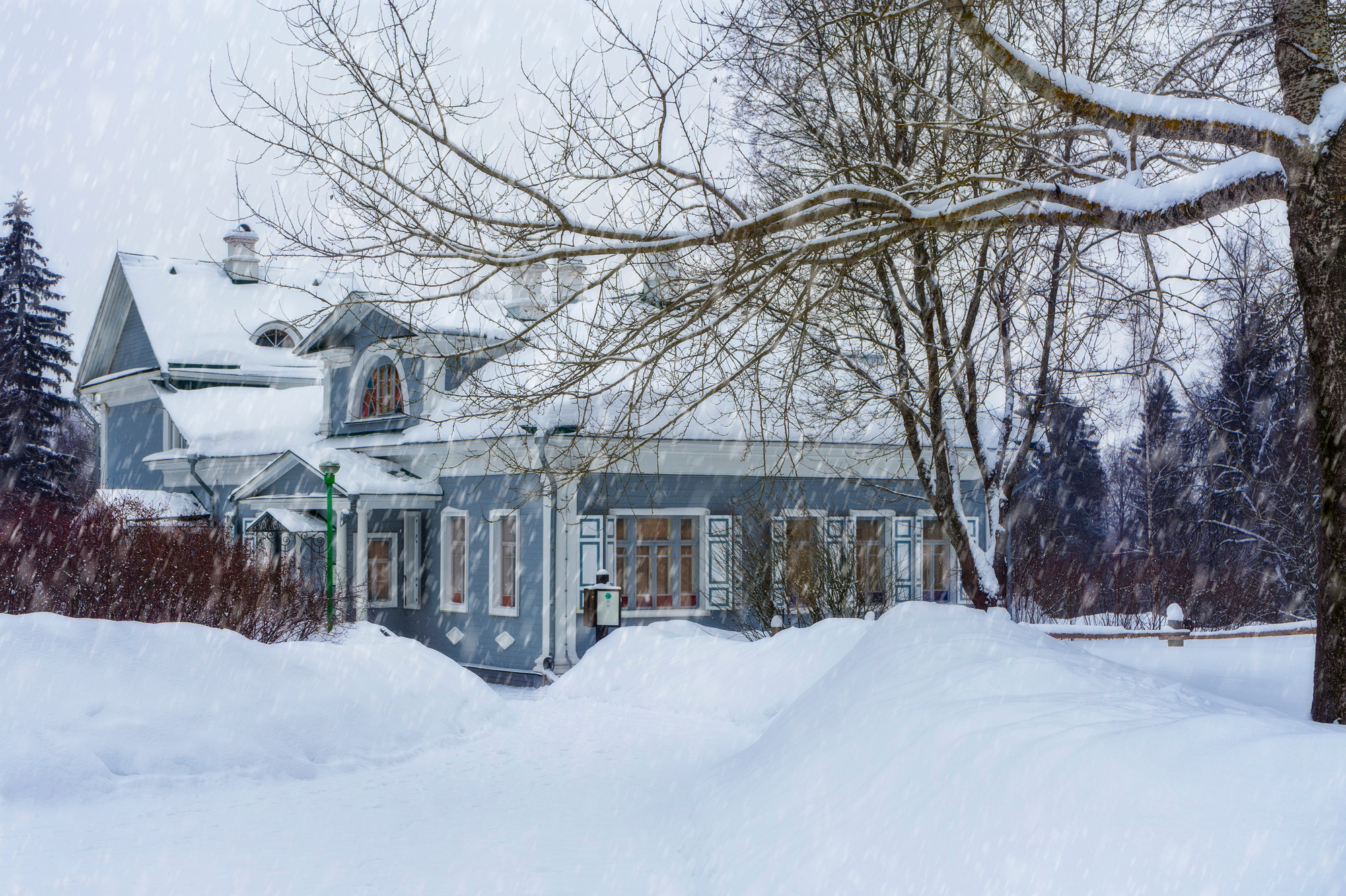 Зима в Шахматова. Семейный и детский фотограф