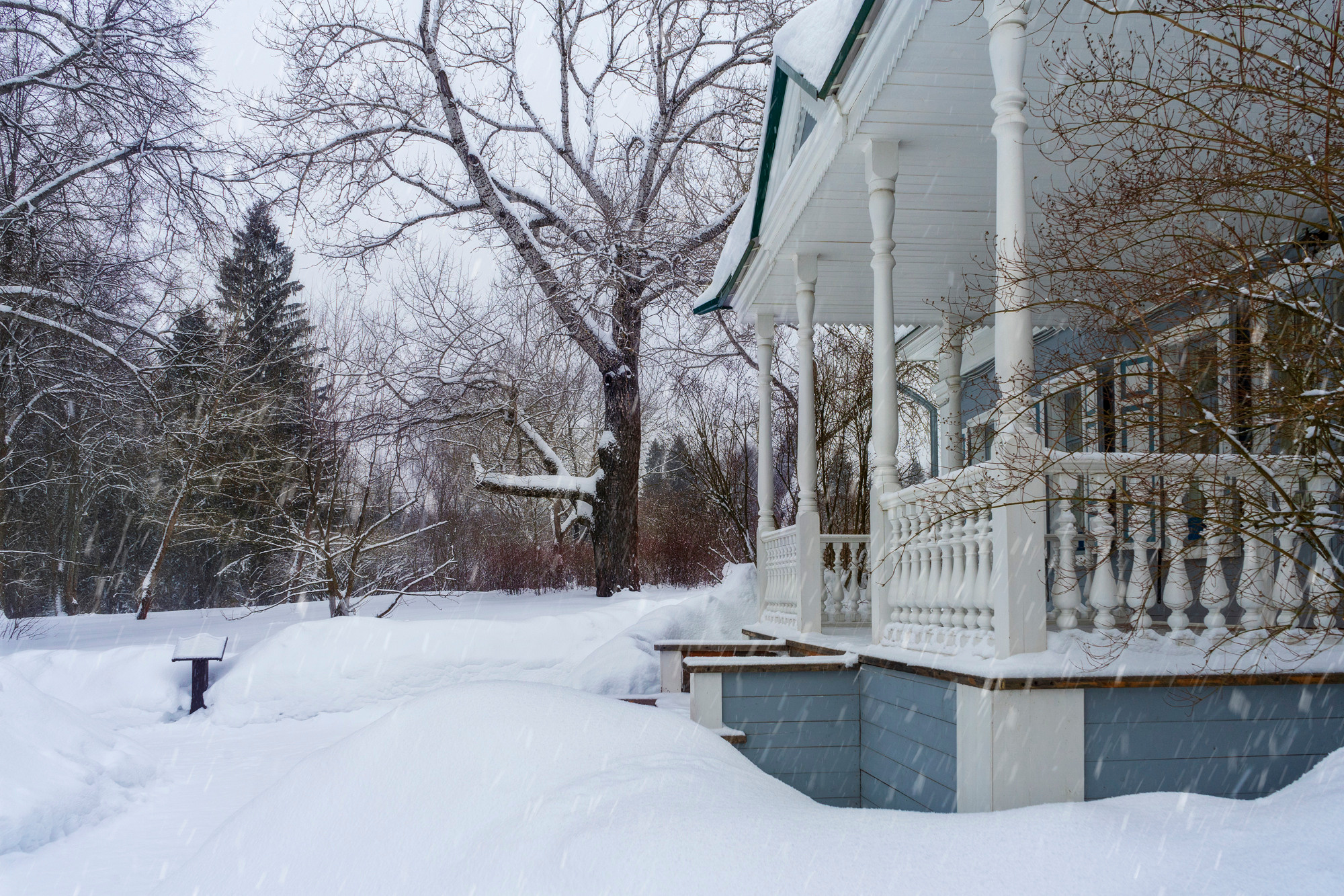 Зима в Шахматова. Семейный и детский фотограф